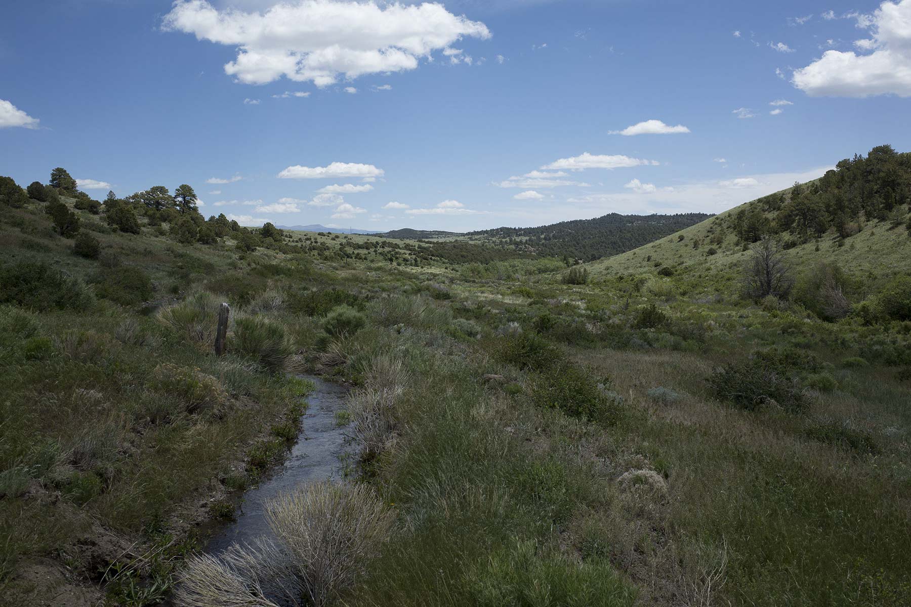 Mosca Pass Ranch property picture 41 of 84