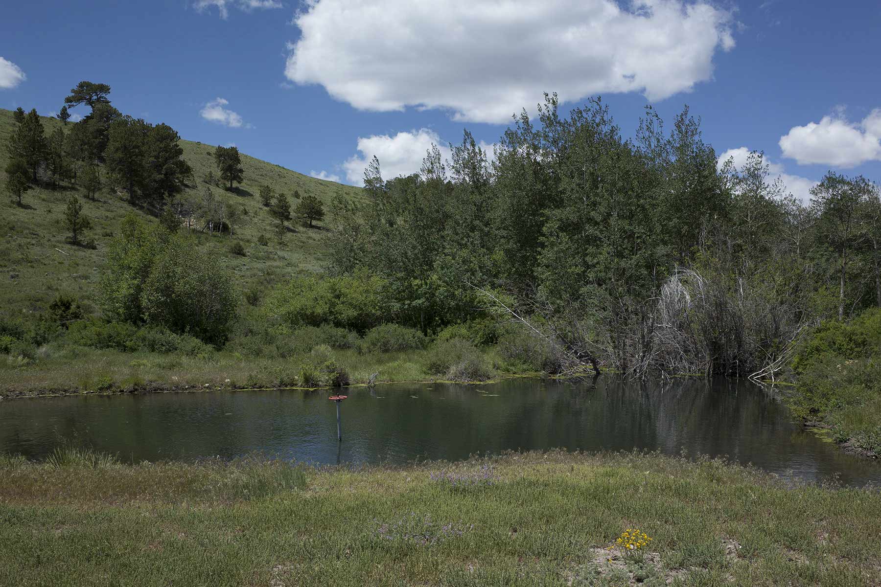 Mosca Pass Ranch property picture 43 of 84