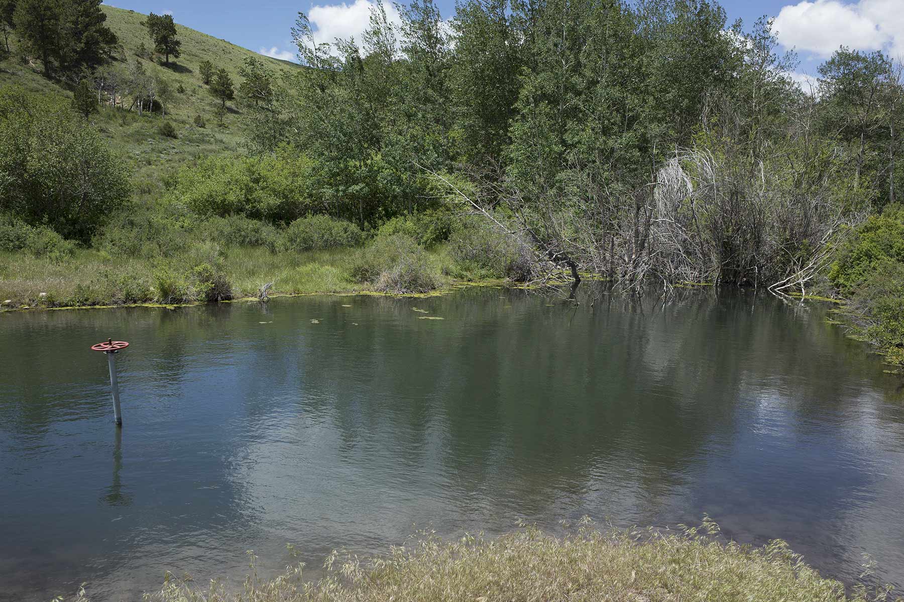 Mosca Pass Ranch property picture 26 of 84