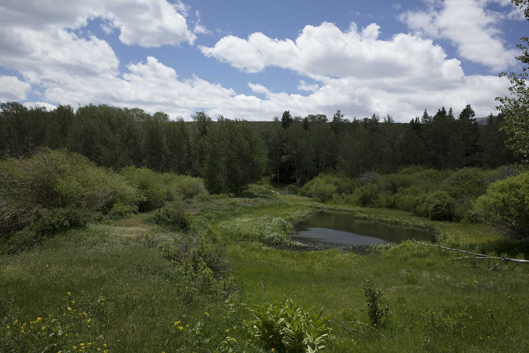 Mosca Pass Ranch property picture 45 of 84