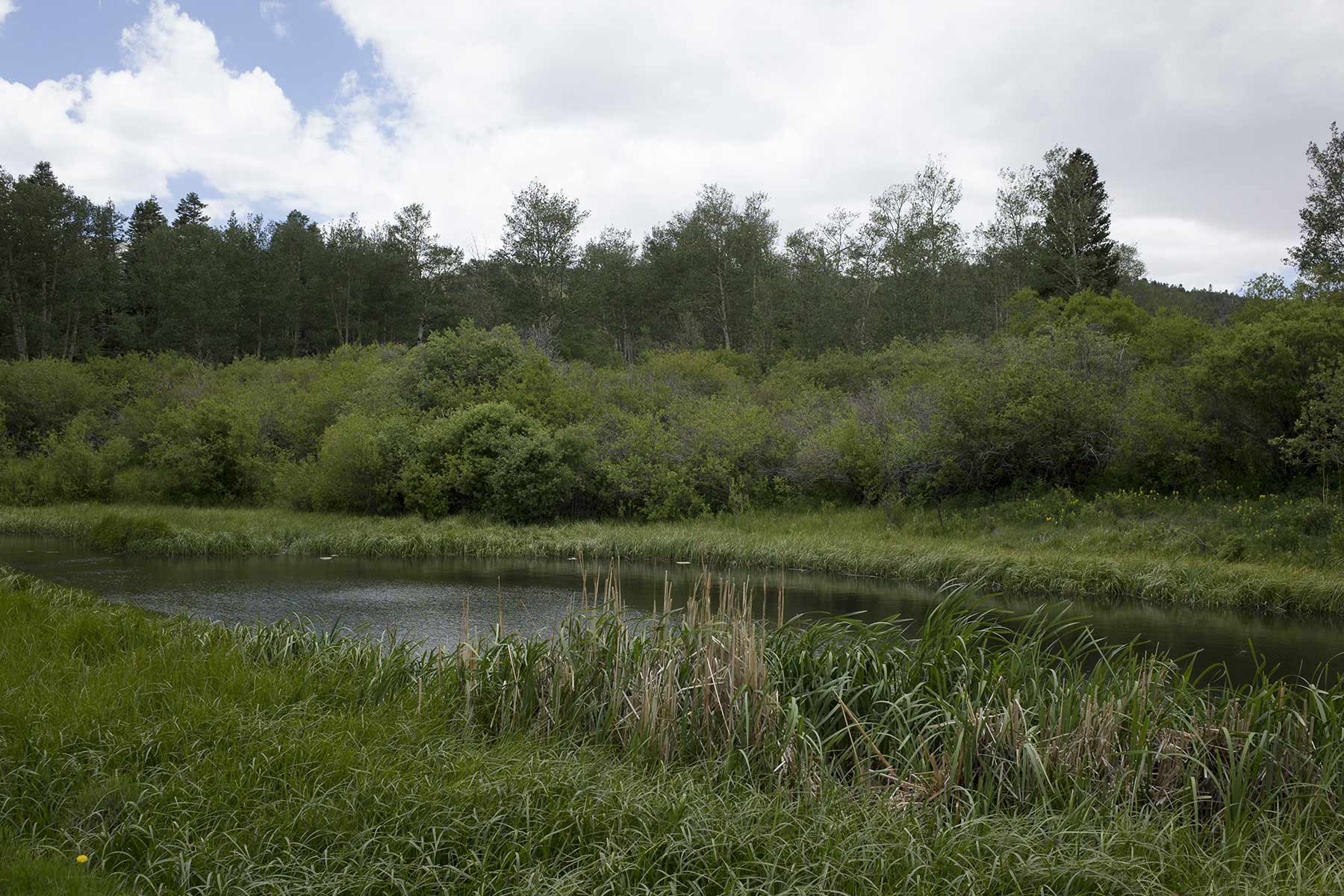 Mosca Pass Ranch property picture 47 of 84