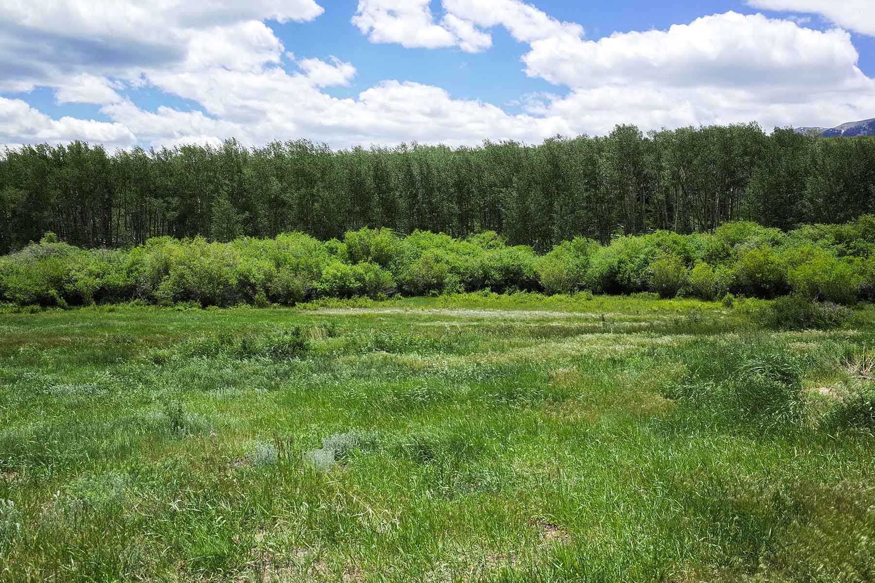 Mosca Pass Ranch property picture 65 of 84