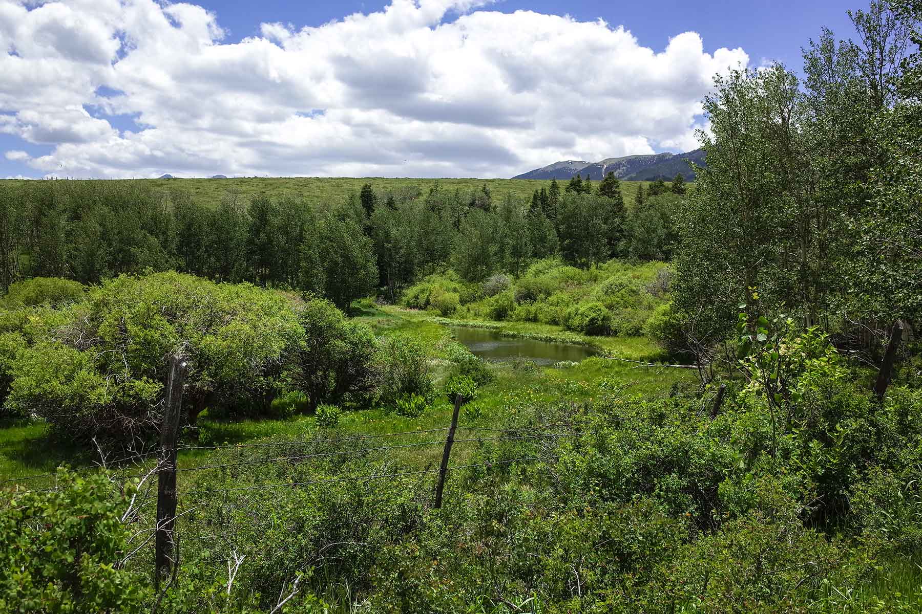 Mosca Pass Ranch property picture 66 of 84