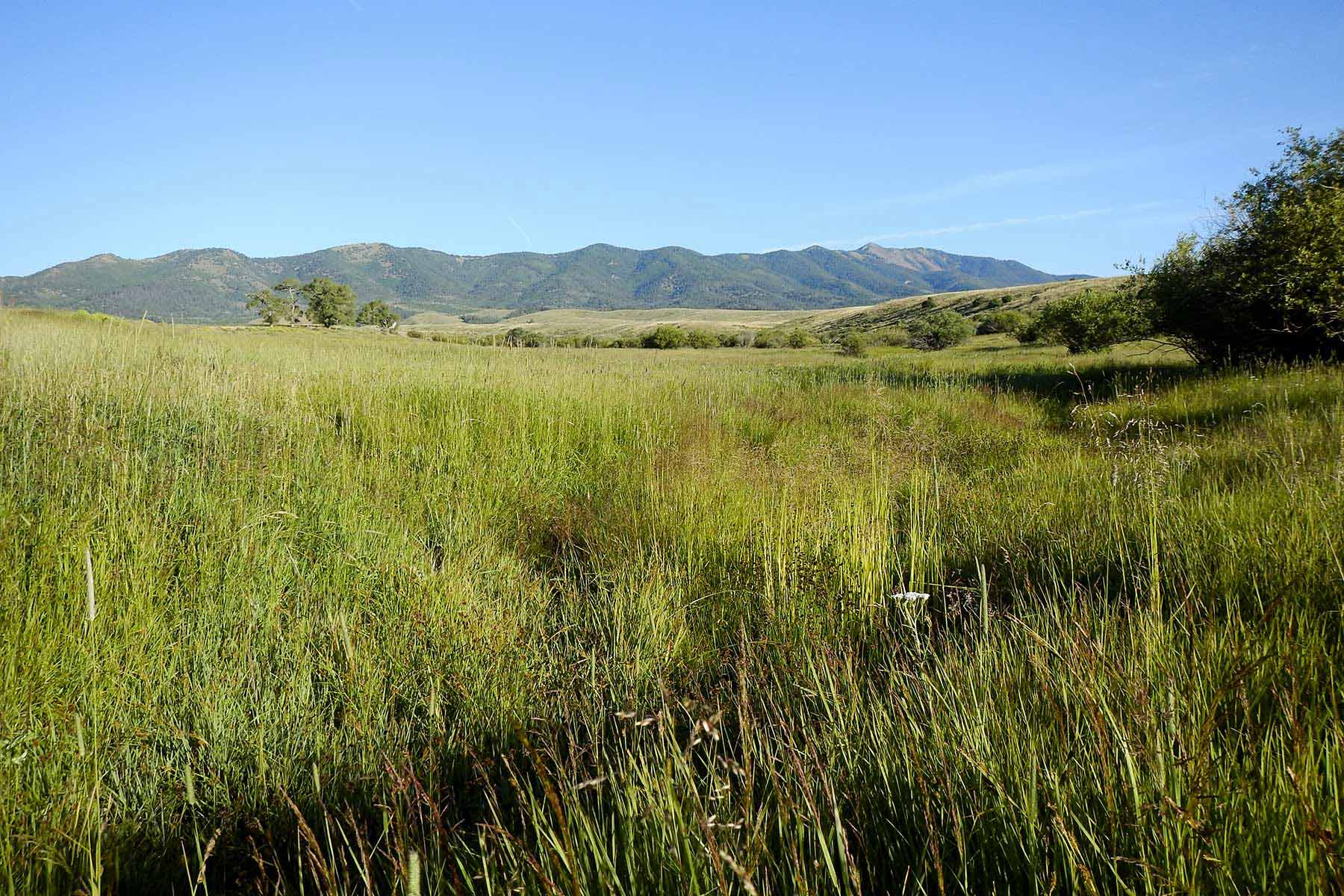 Mosca Pass Ranch property picture 3 of 84