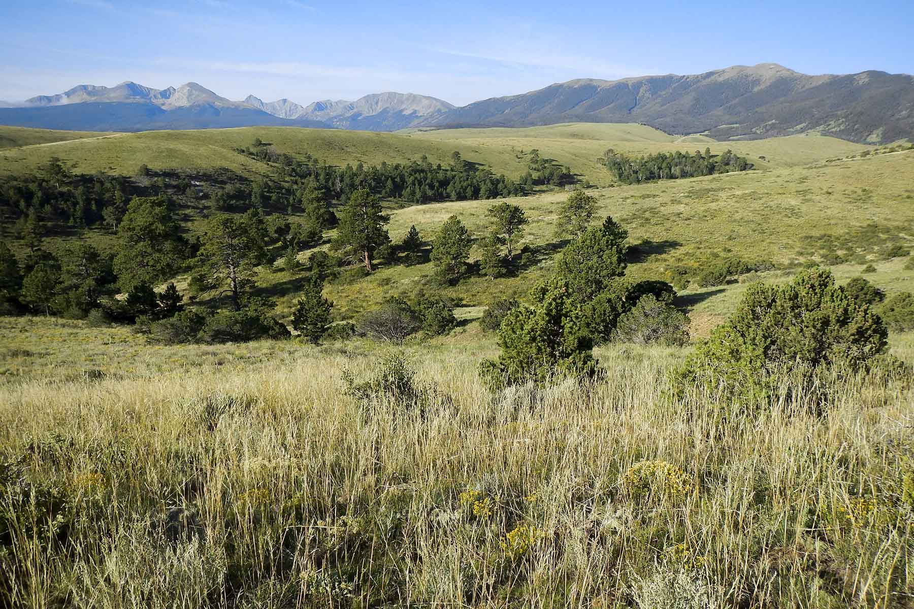 Mosca Pass Ranch property picture 51 of 84