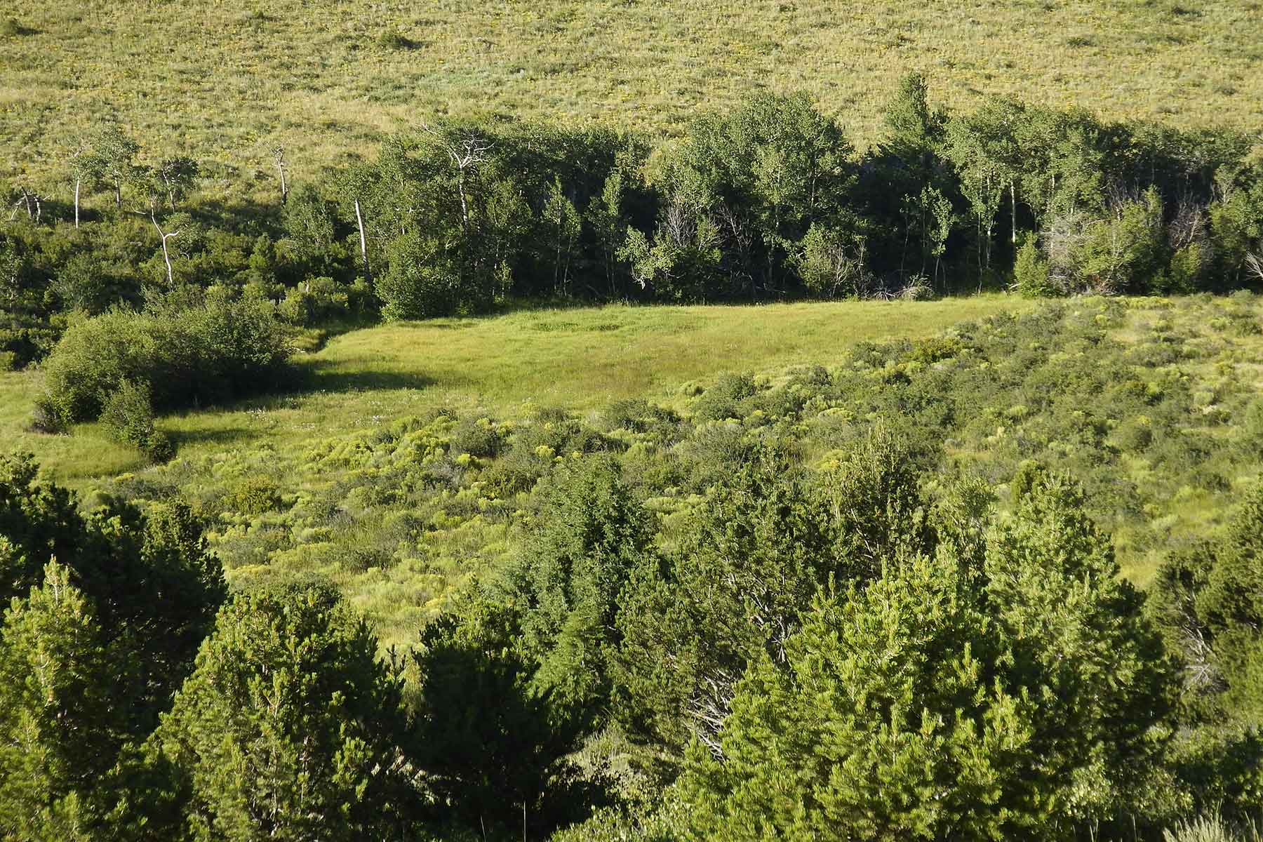 Mosca Pass Ranch property picture 4 of 84