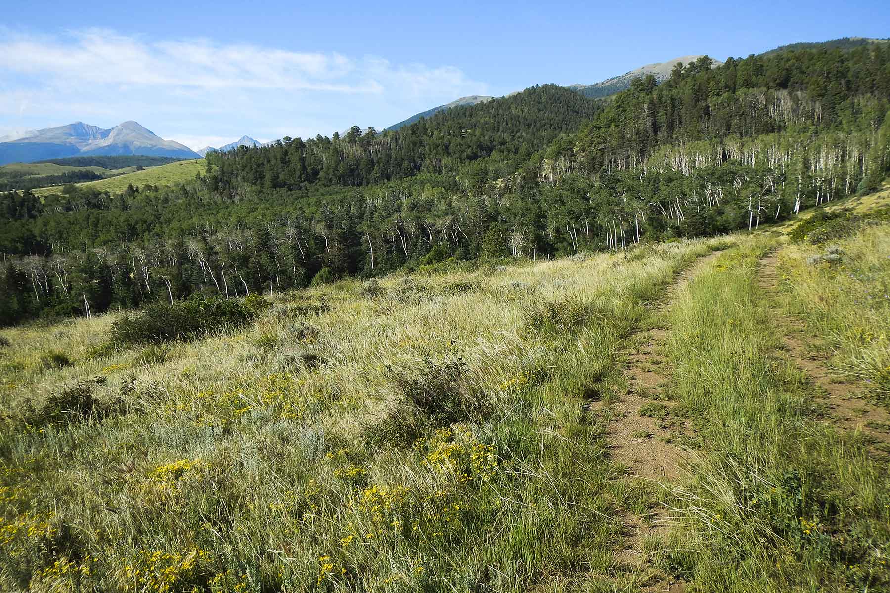 Mosca Pass Ranch property picture 68 of 84
