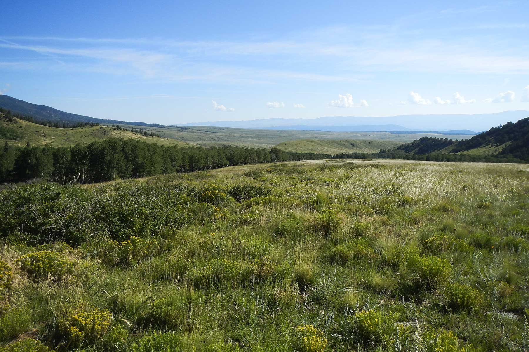 Mosca Pass Ranch property picture 7 of 84