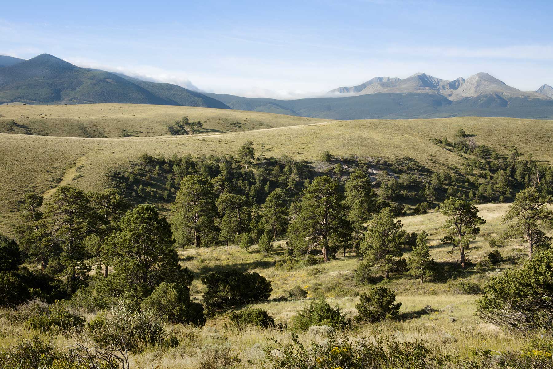 Mosca Pass Ranch property picture 14 of 84