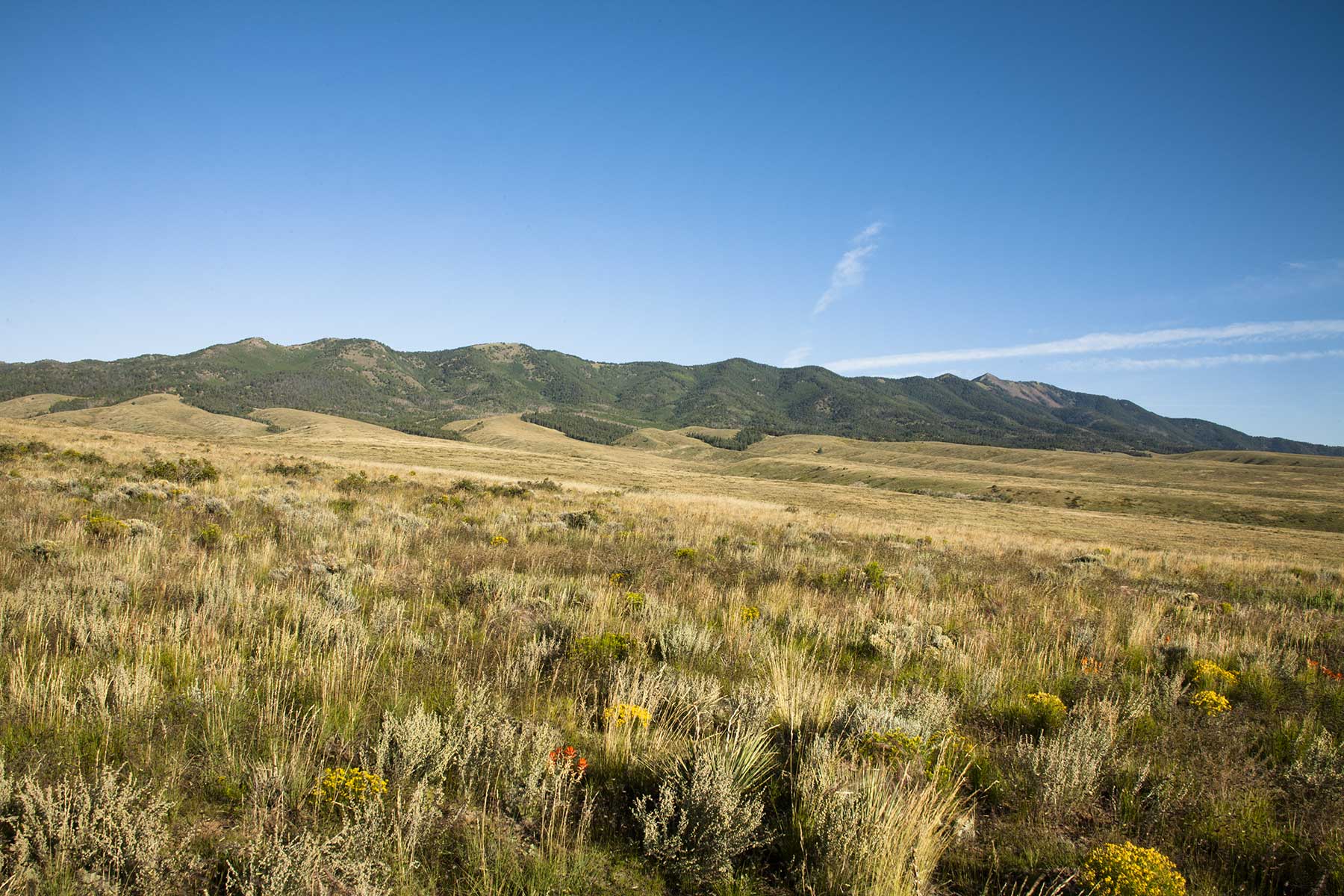 Mosca Pass Ranch property picture 15 of 84