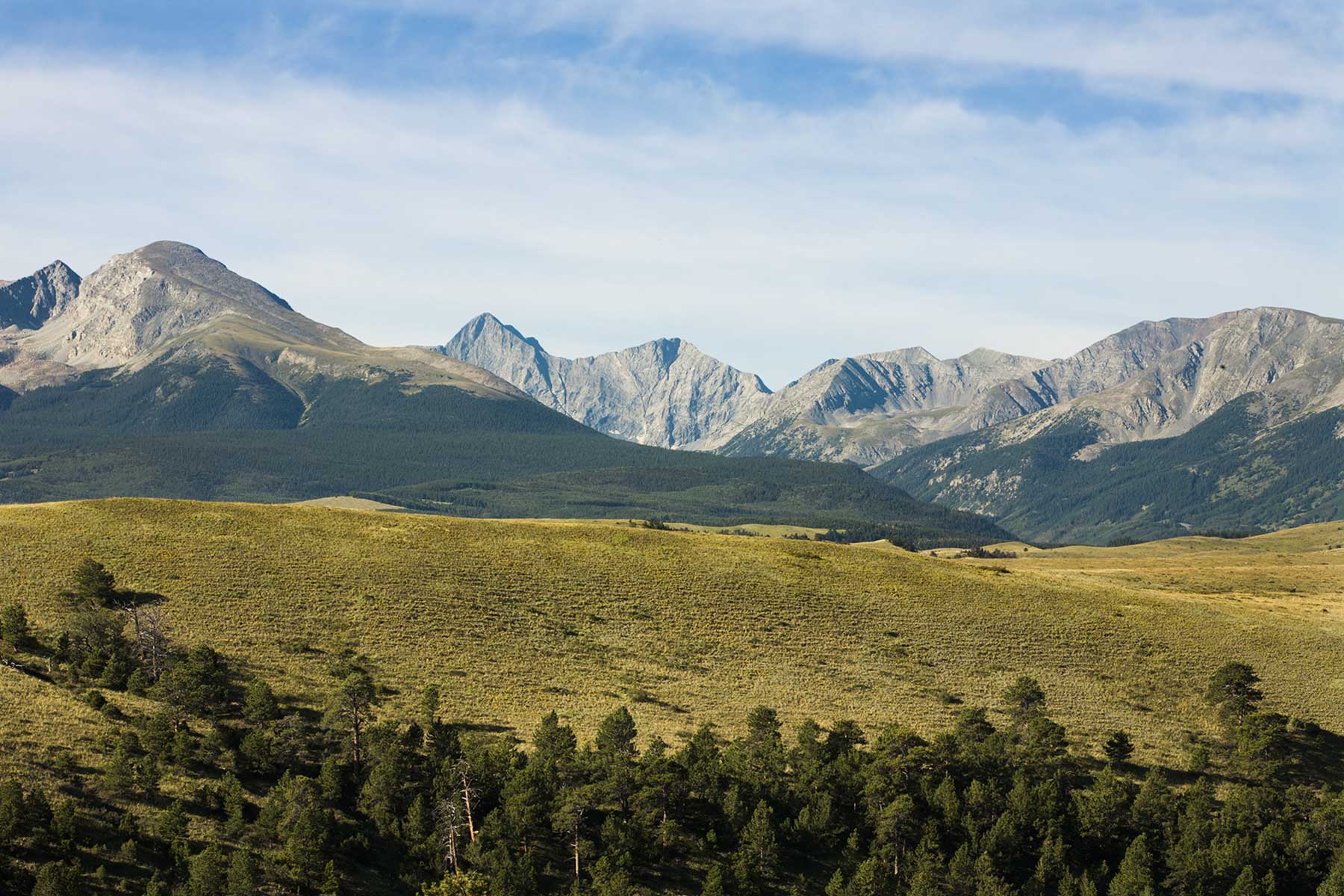 Mosca Pass Ranch property picture 71 of 84