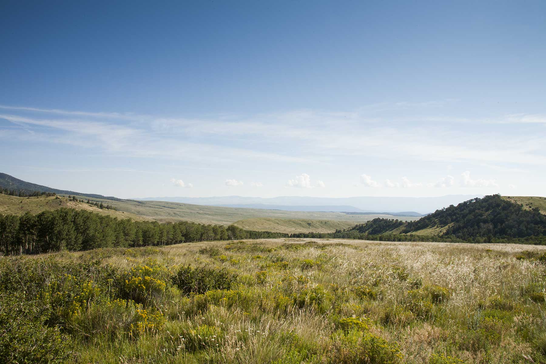 Mosca Pass Ranch property picture 17 of 84