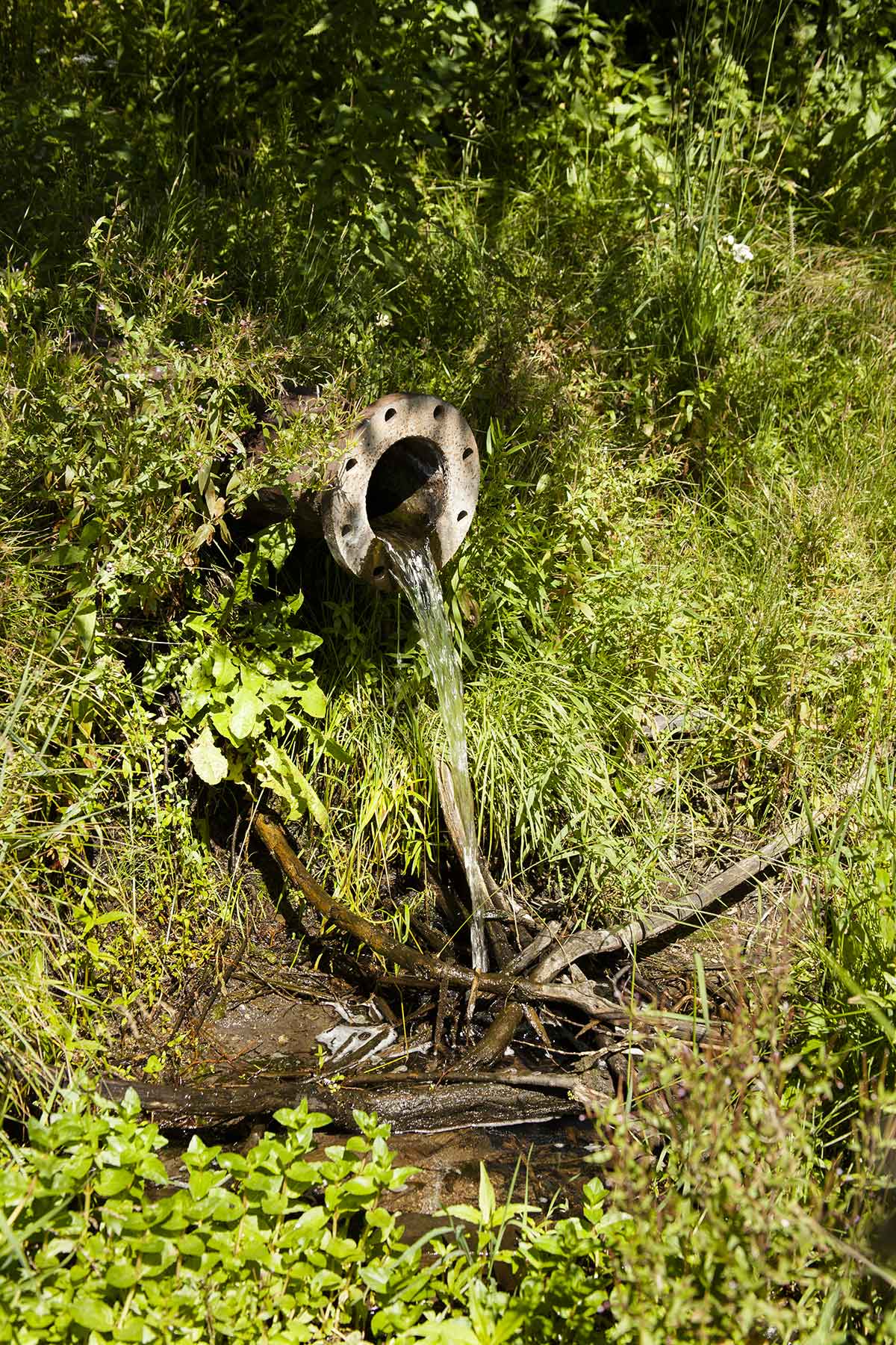 Mosca Pass Ranch property picture 18 of 84