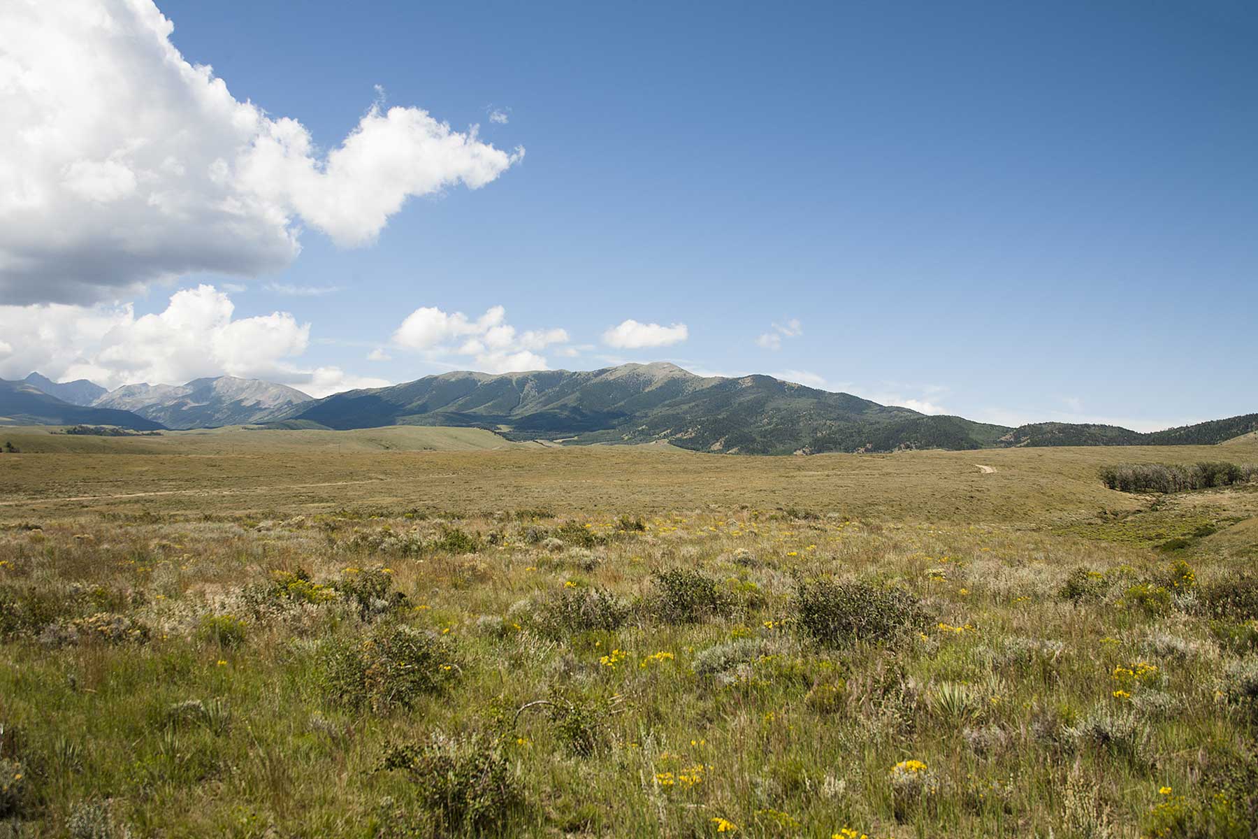 Mosca Pass Ranch property picture 19 of 84