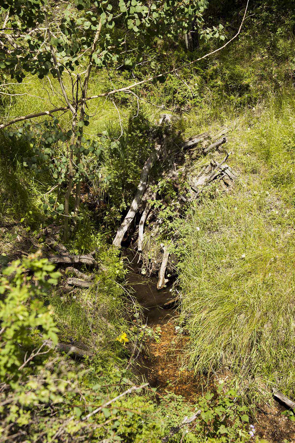 Mosca Pass Ranch property picture 72 of 84