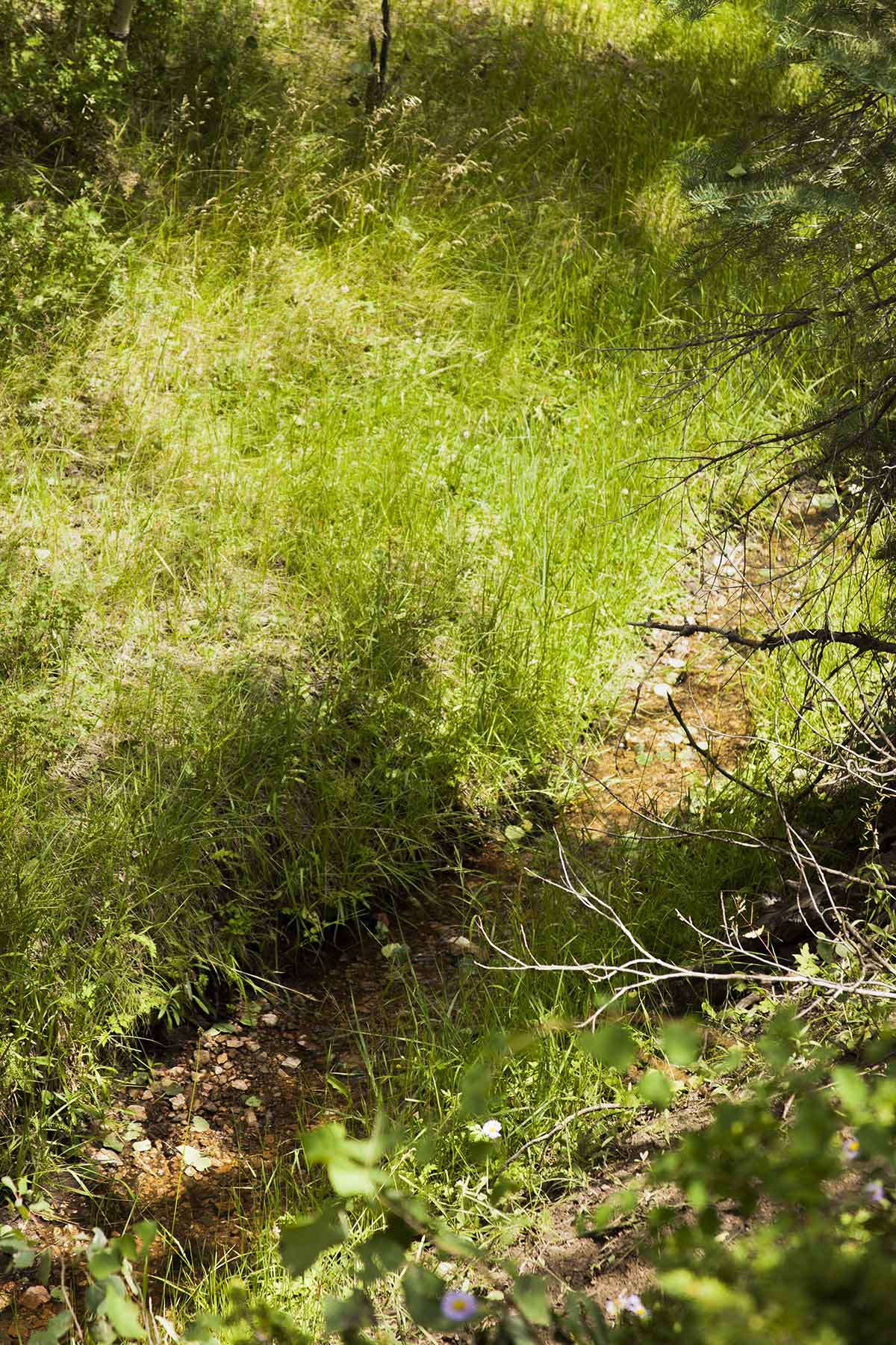 Mosca Pass Ranch property picture 73 of 84