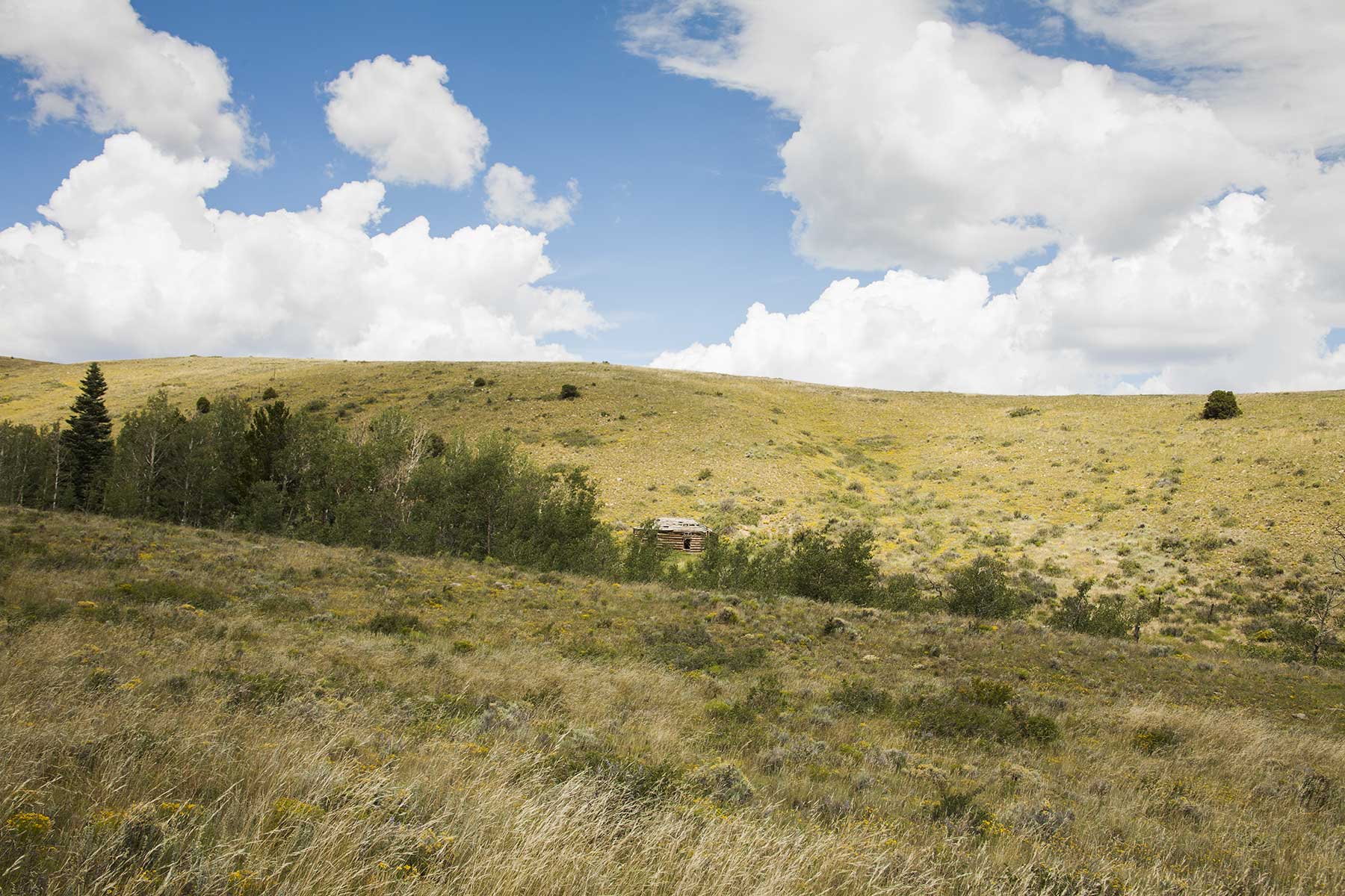 Mosca Pass Ranch property picture 74 of 84