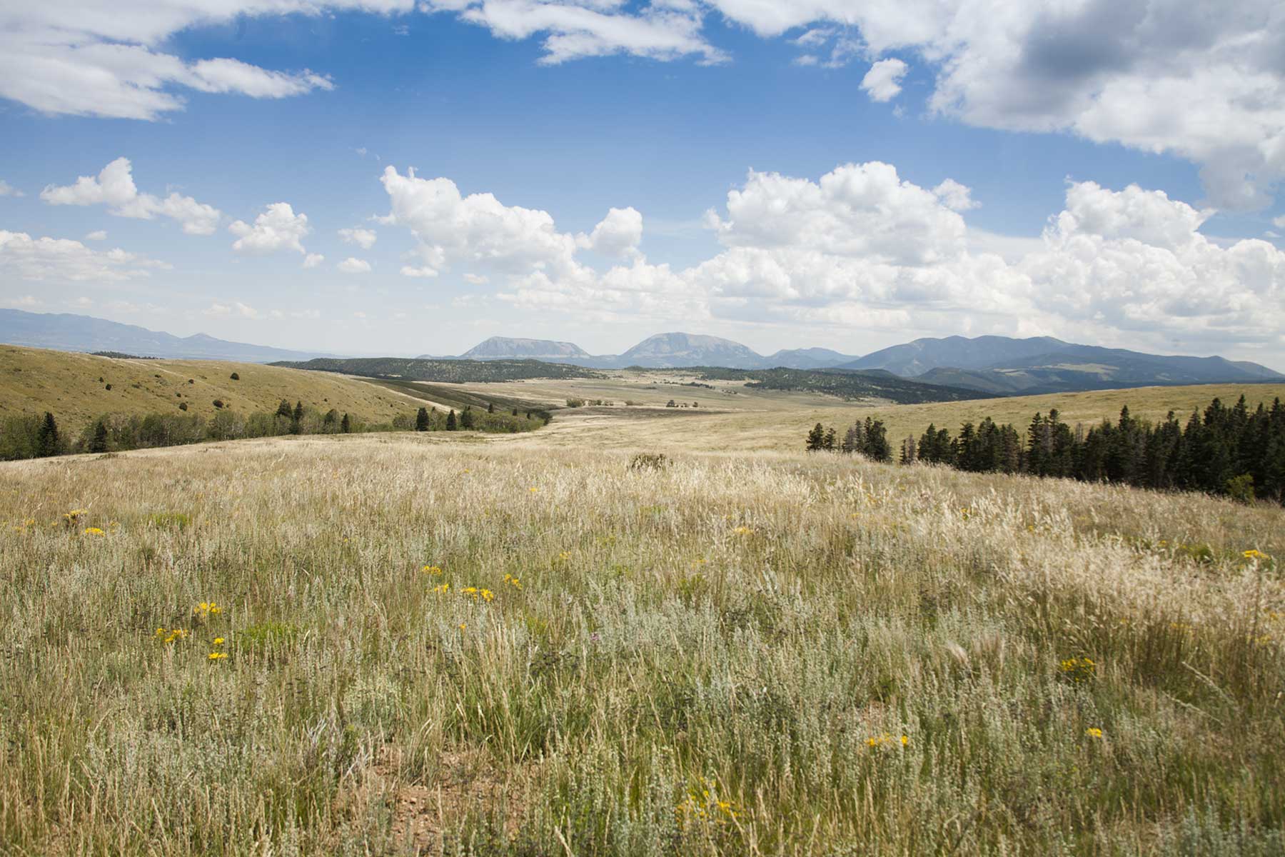 Mosca Pass Ranch property picture 2 of 84