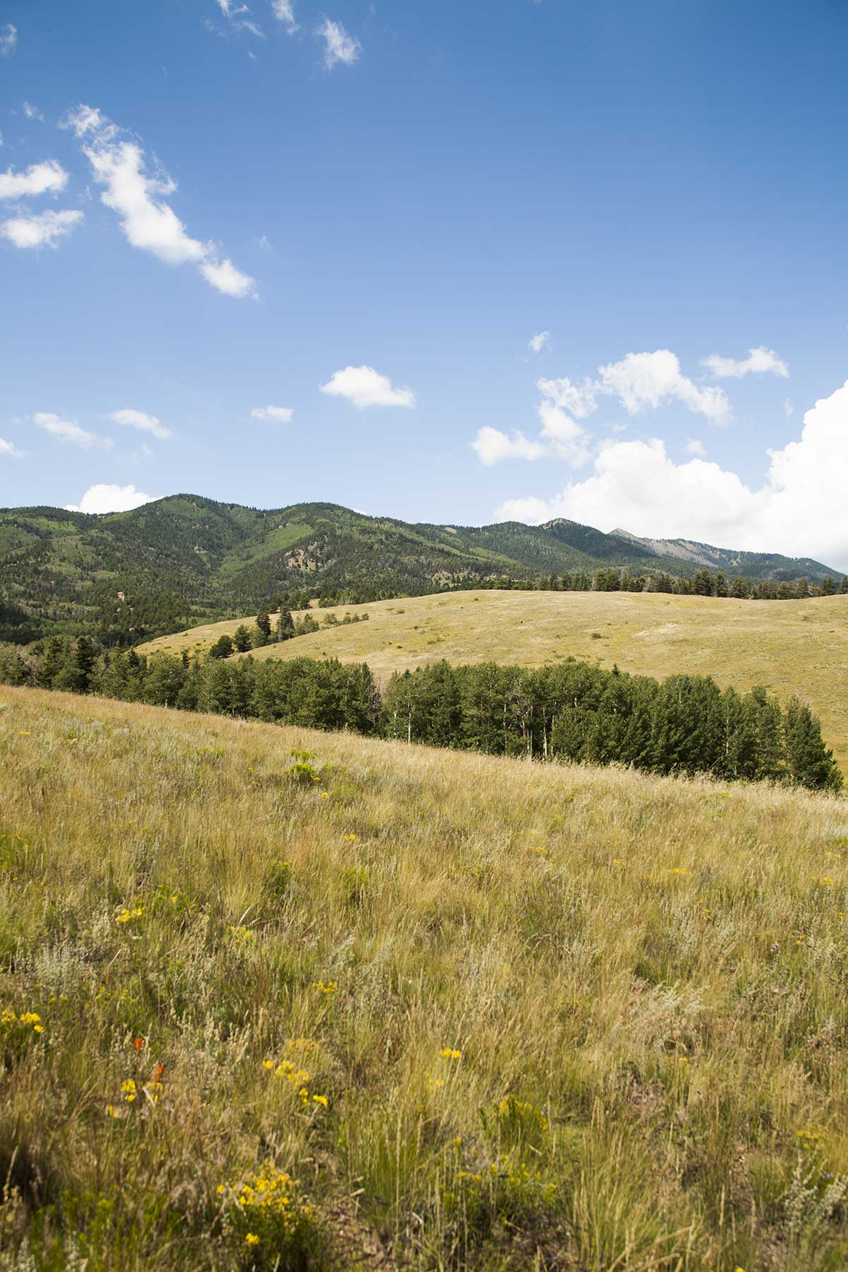 Mosca Pass Ranch property picture 75 of 84