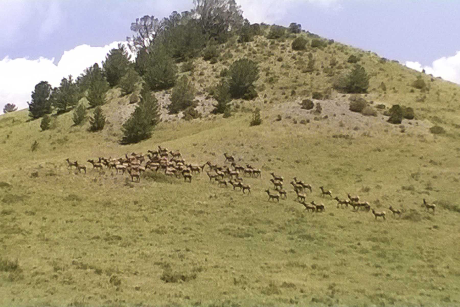Mosca Pass Ranch property picture 76 of 84