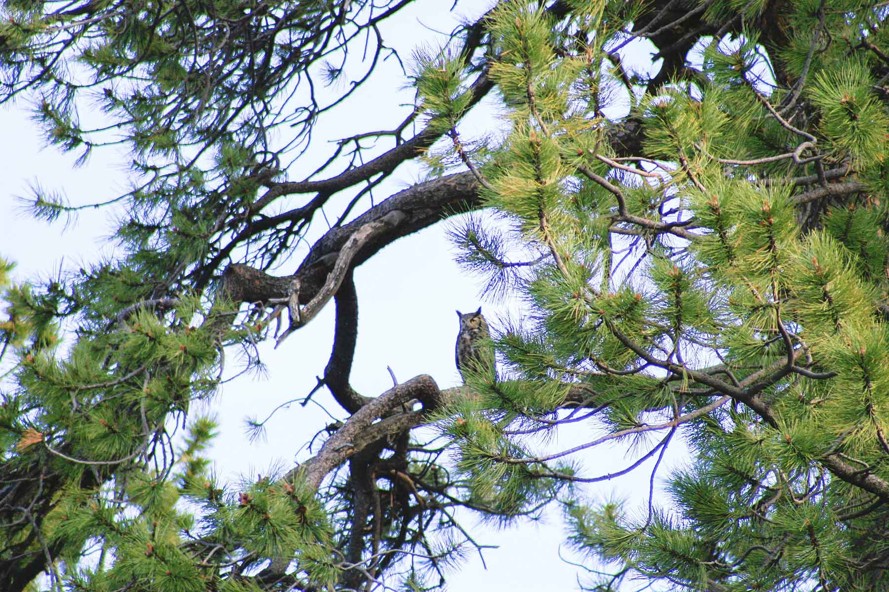 Mosca Pass Ranch property picture 82 of 84