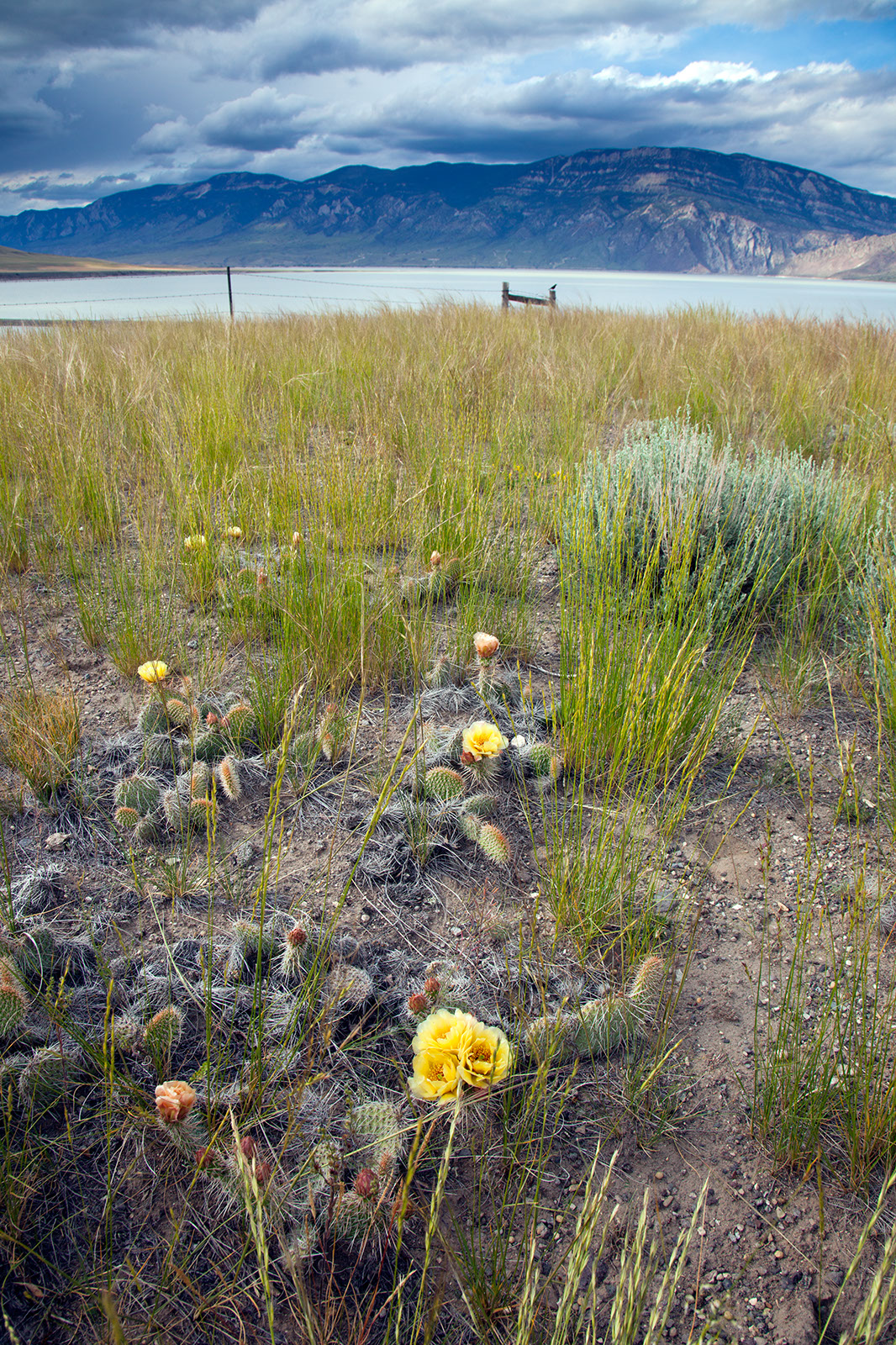 Lower Diamond Bar Ranch property picture 4 of 11