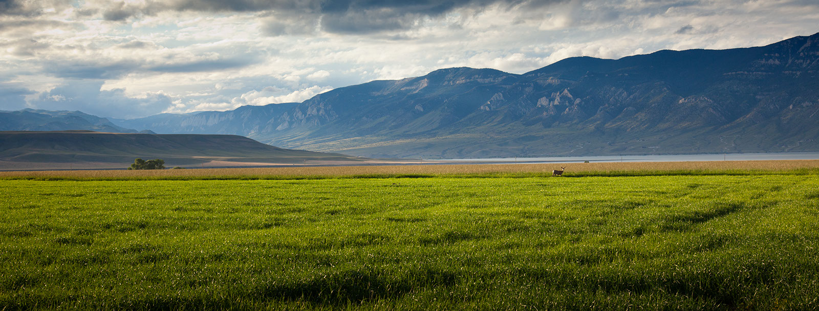 Lower Diamond Bar Ranch property picture 5 of 11