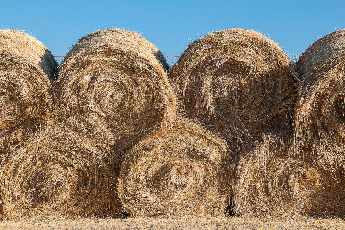 The River Farm property picture 71 of 71