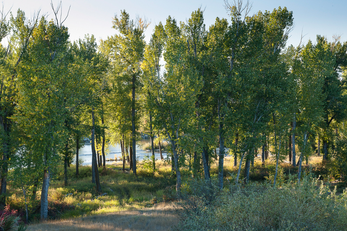 The River Farm property picture 54 of 71