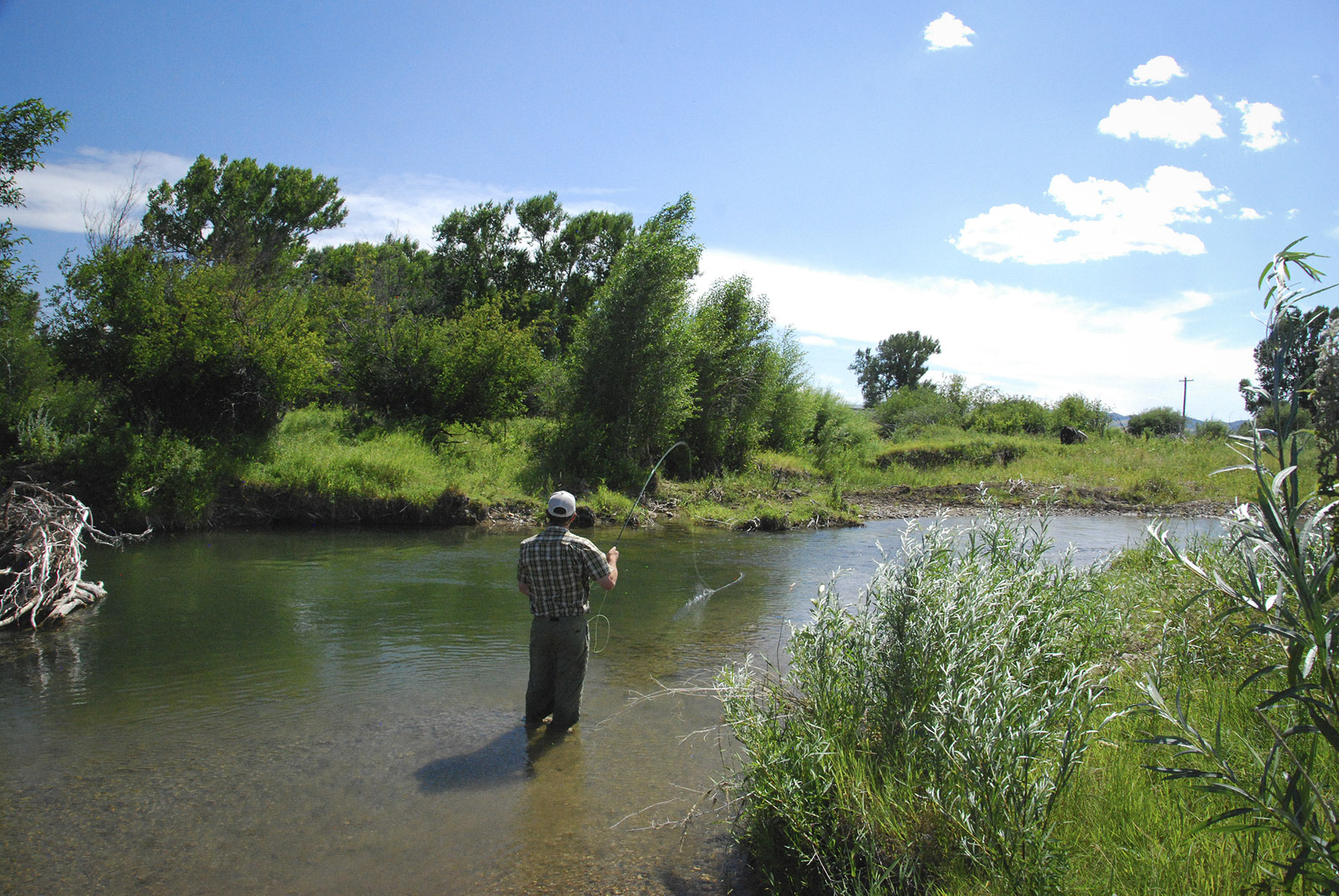 Red Barn Ranch property picture 5 of 6