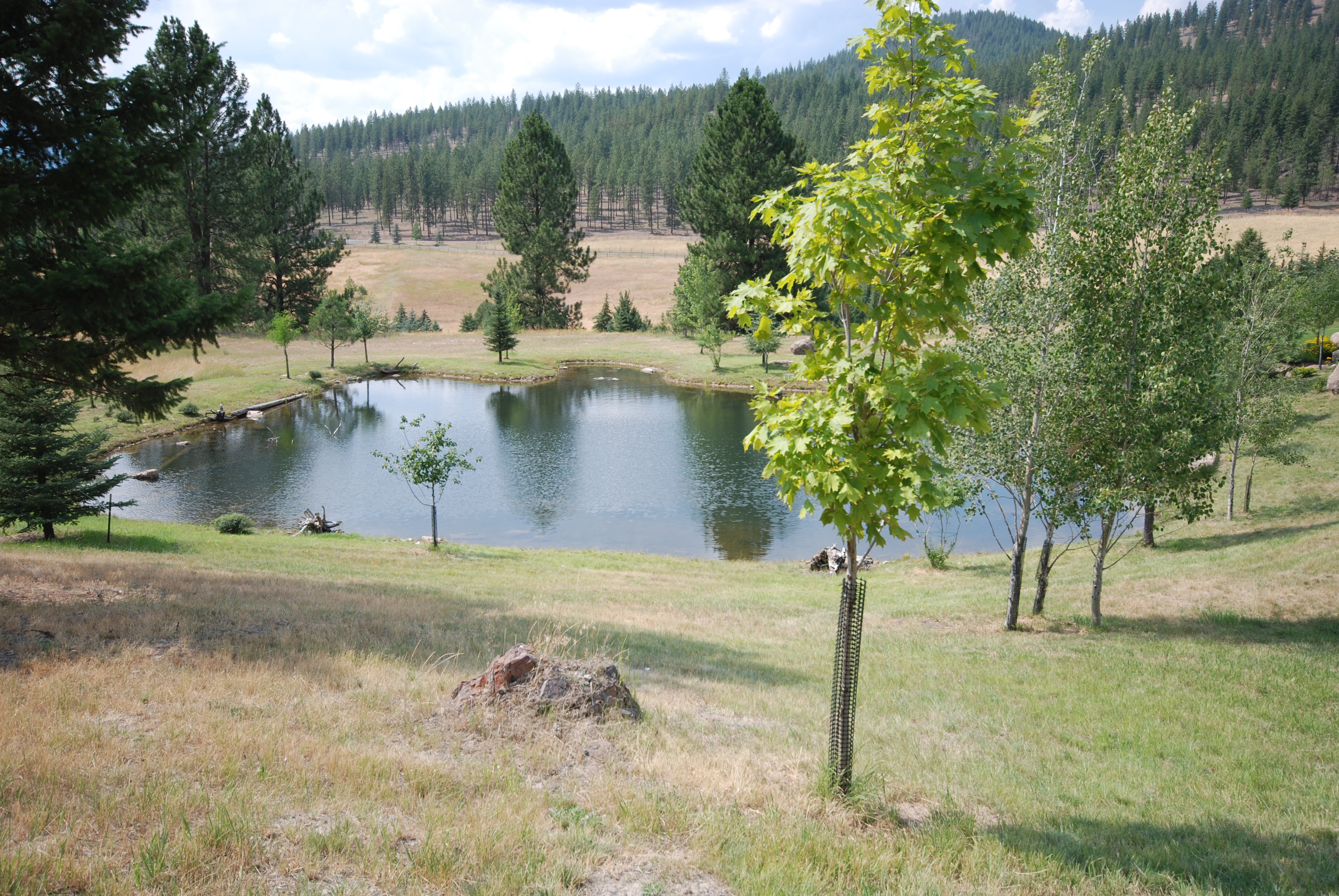 War Horse Ranch property picture 44 of 64