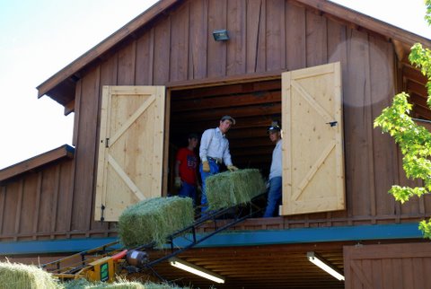 War Horse Ranch property picture 37 of 64