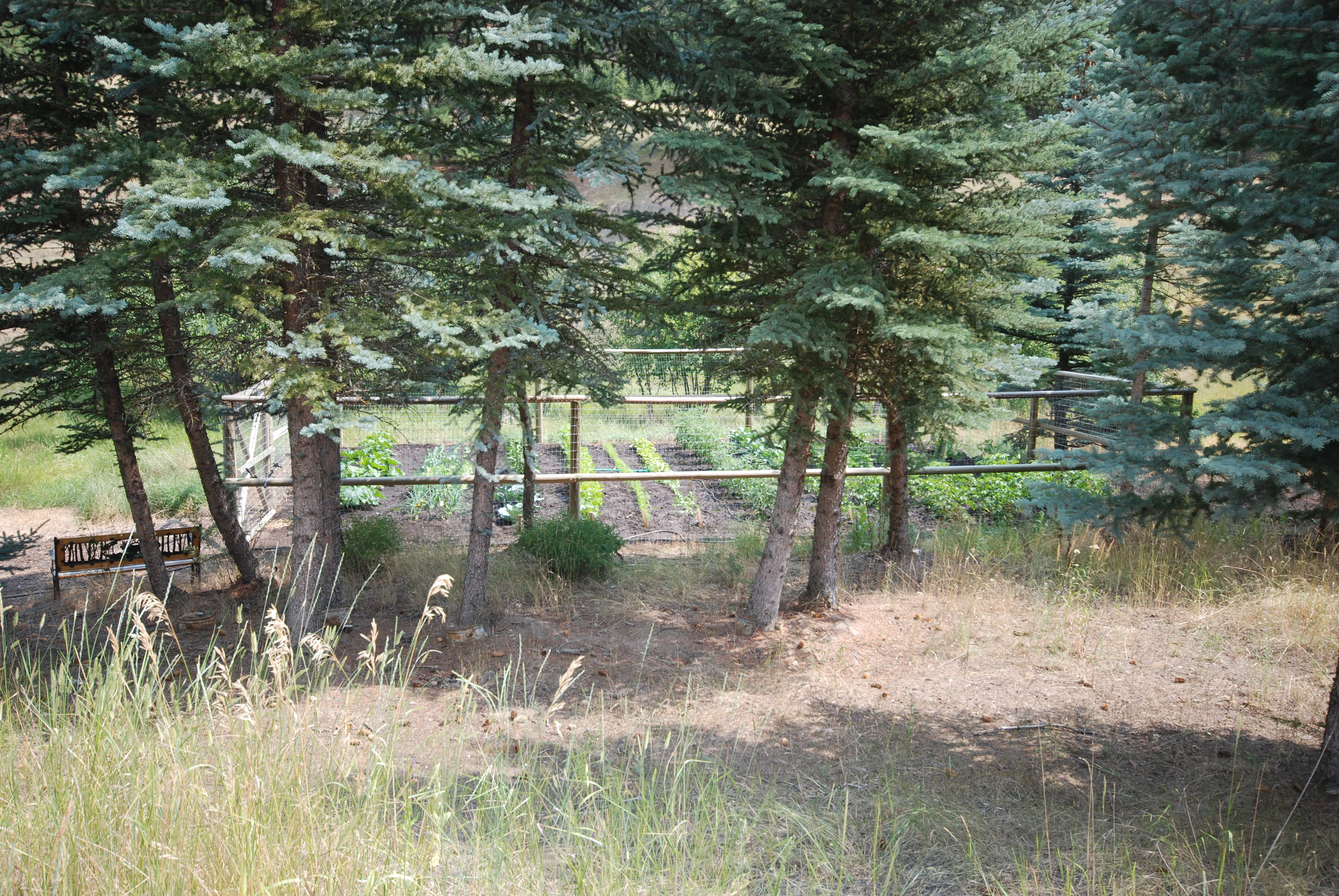 War Horse Ranch property picture 17 of 64