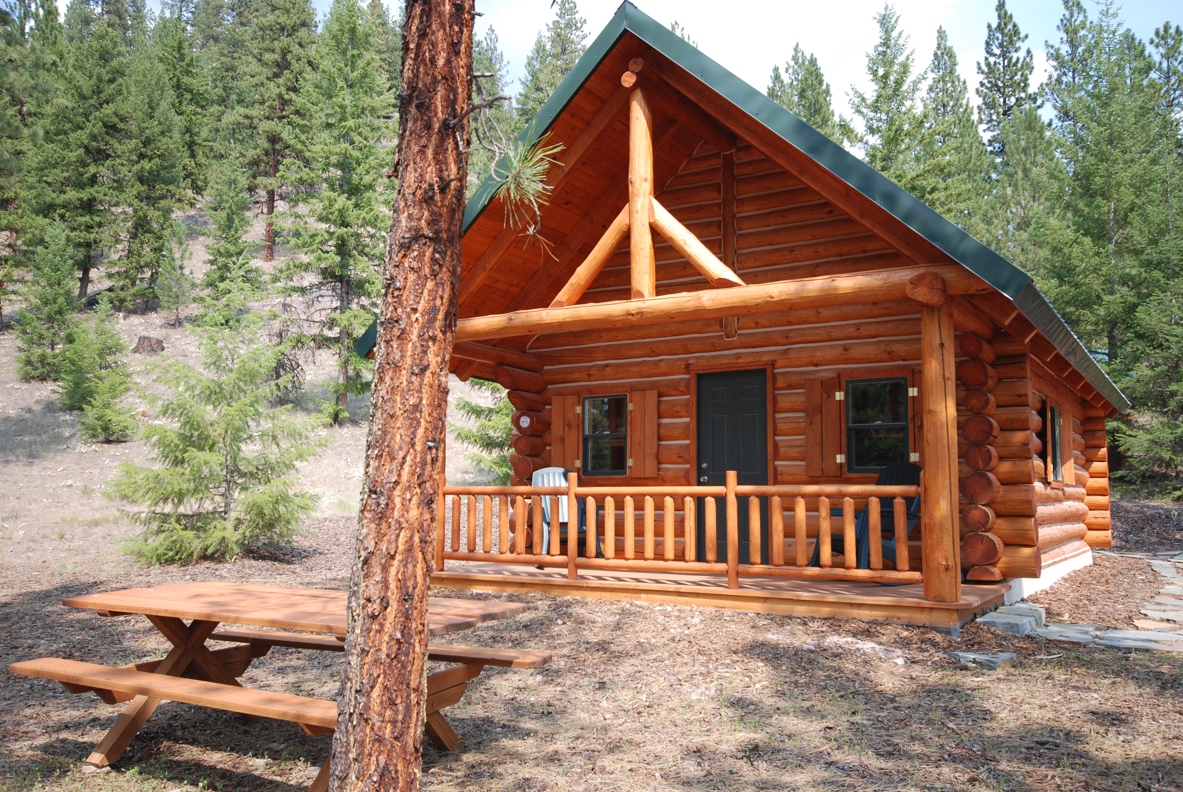 War Horse Ranch property picture 13 of 64