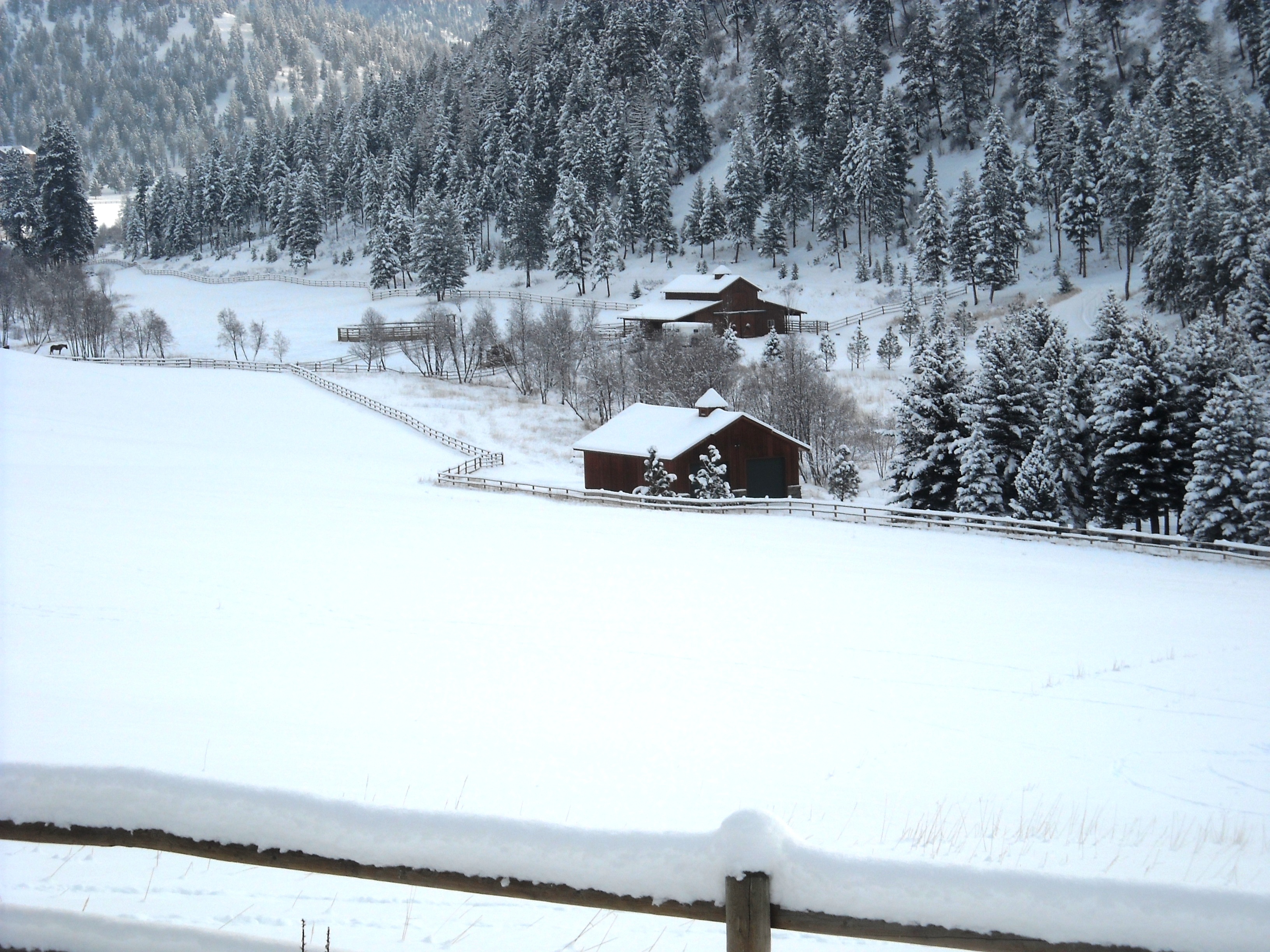 War Horse Ranch property picture 5 of 64