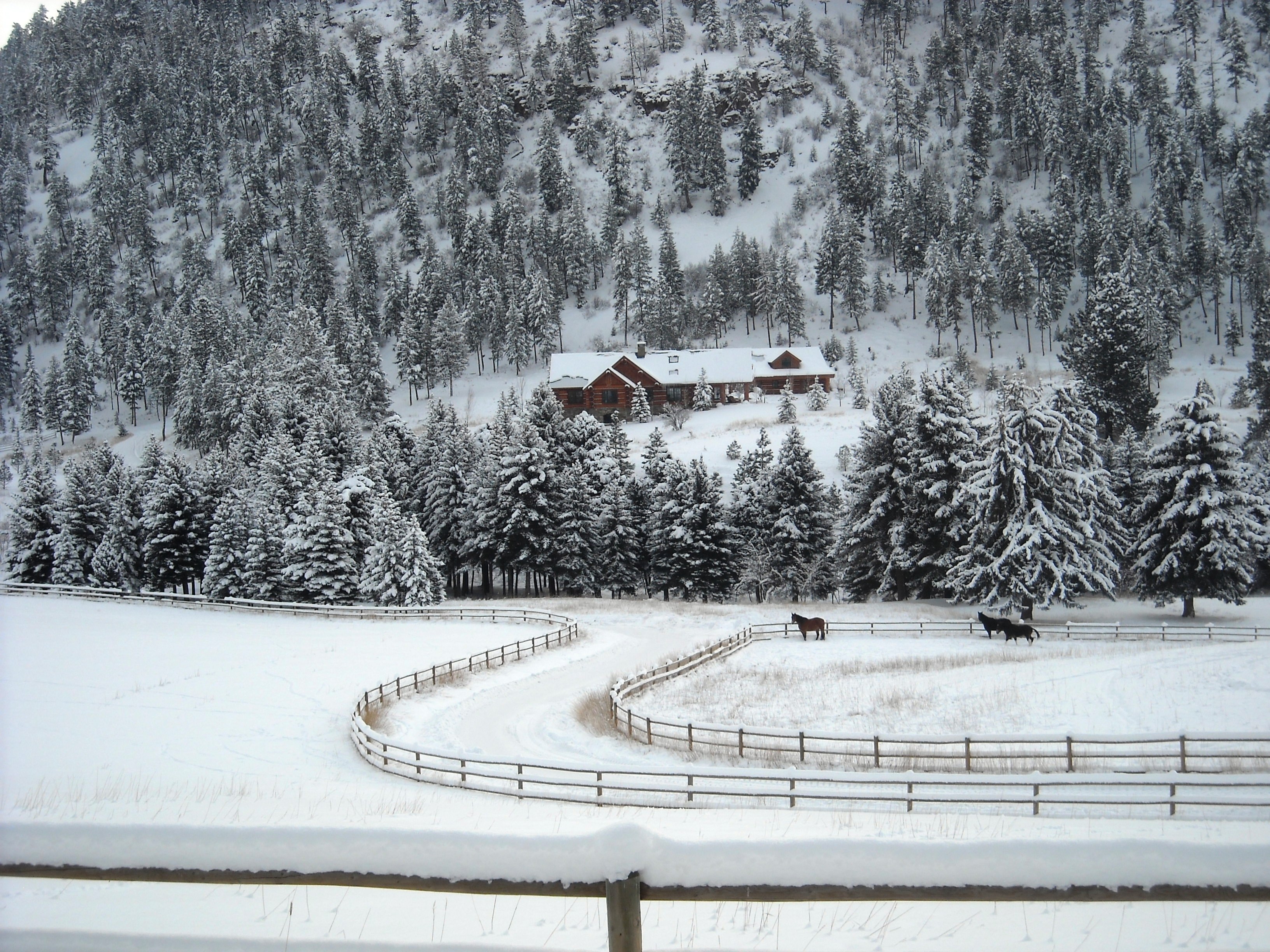 War Horse Ranch property picture 4 of 64