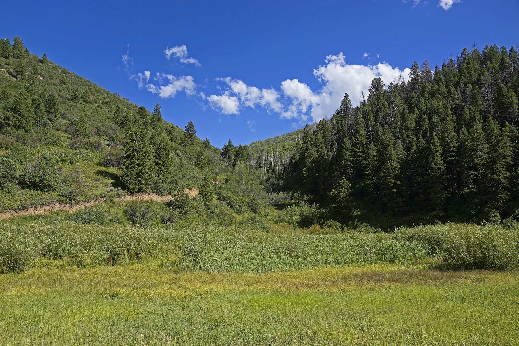 Whiskey Gulch Ranch property picture 4 of 13