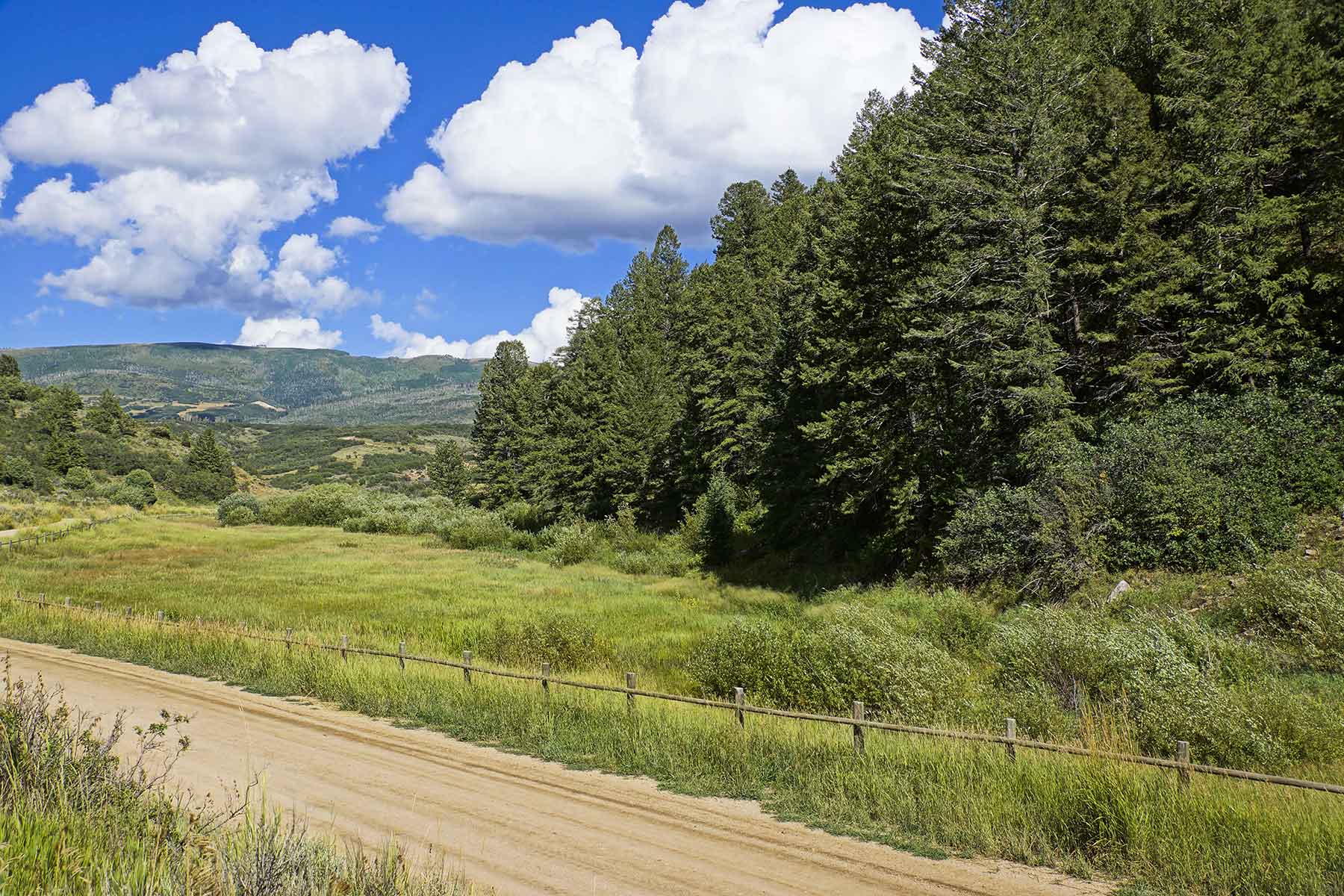 Whiskey Gulch Ranch property picture 6 of 13