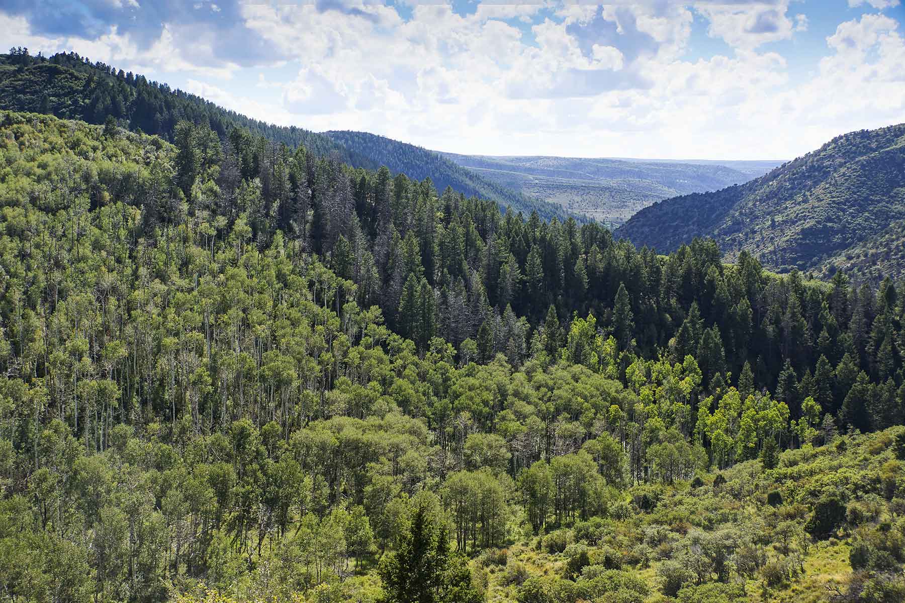 Whiskey Gulch Ranch property picture 10 of 13