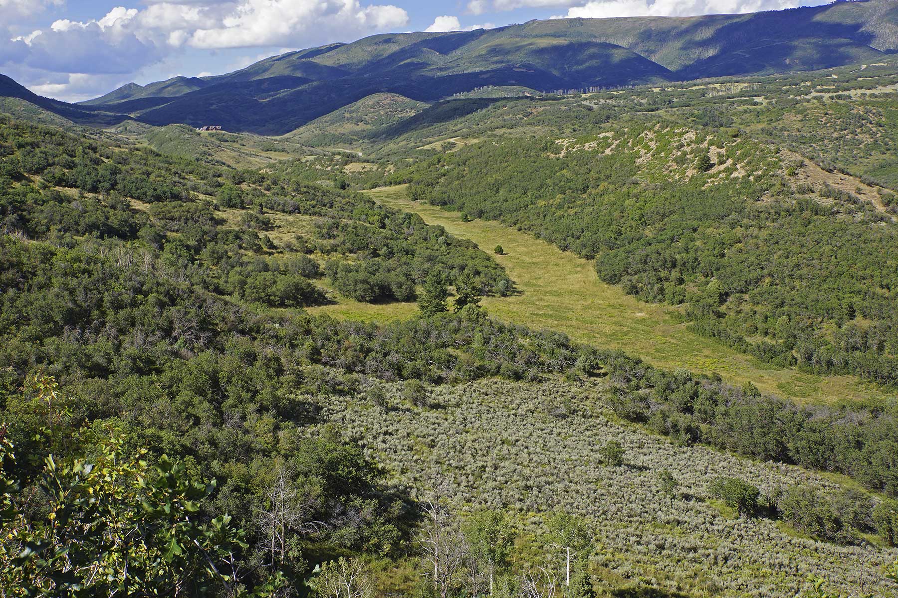 Whiskey Gulch Ranch property picture 13 of 13
