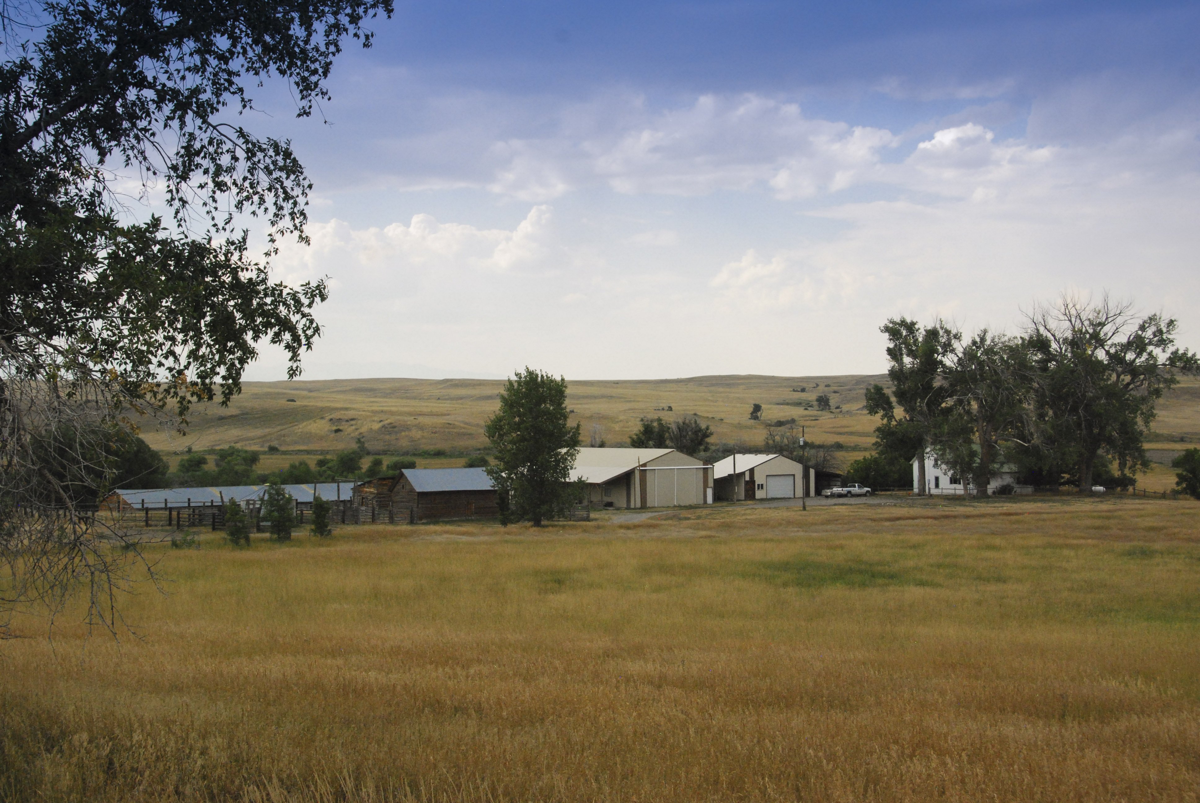 Sweet Grass Creek Ranch property picture 42 of 45