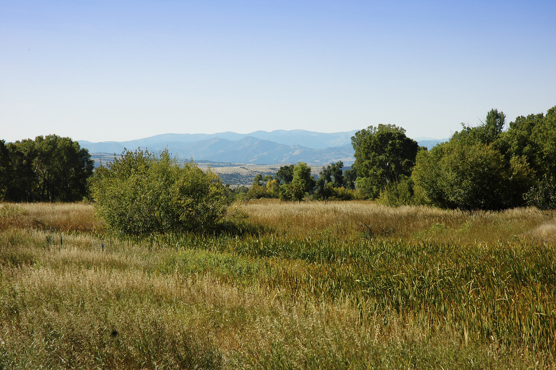 Sweet Grass Creek Ranch property picture 41 of 45