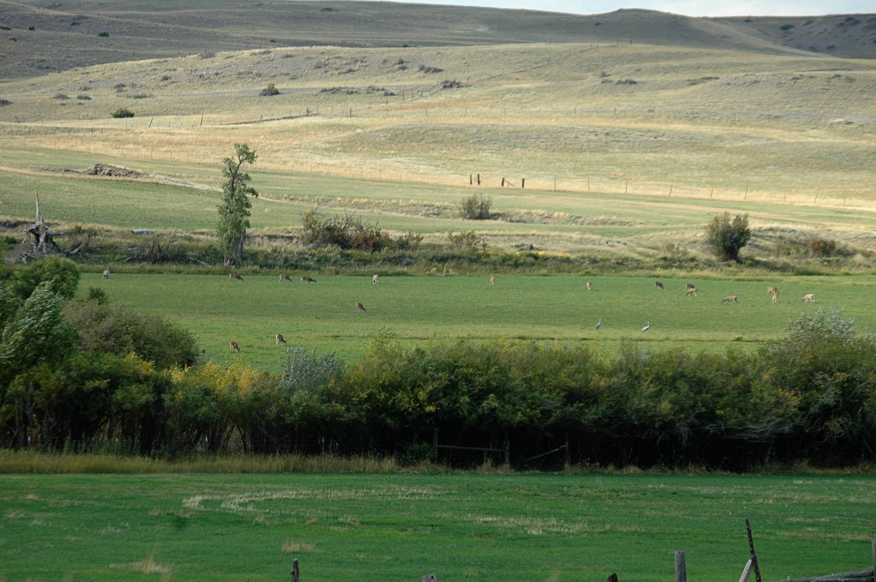 Sweet Grass Creek Ranch property picture 38 of 45