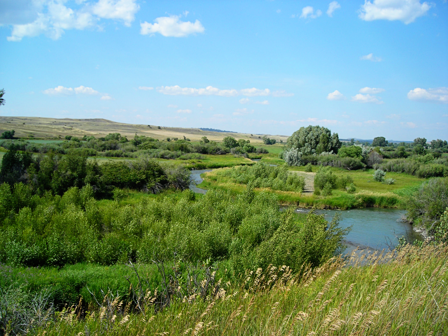 Sweet Grass Creek Ranch property picture 37 of 45