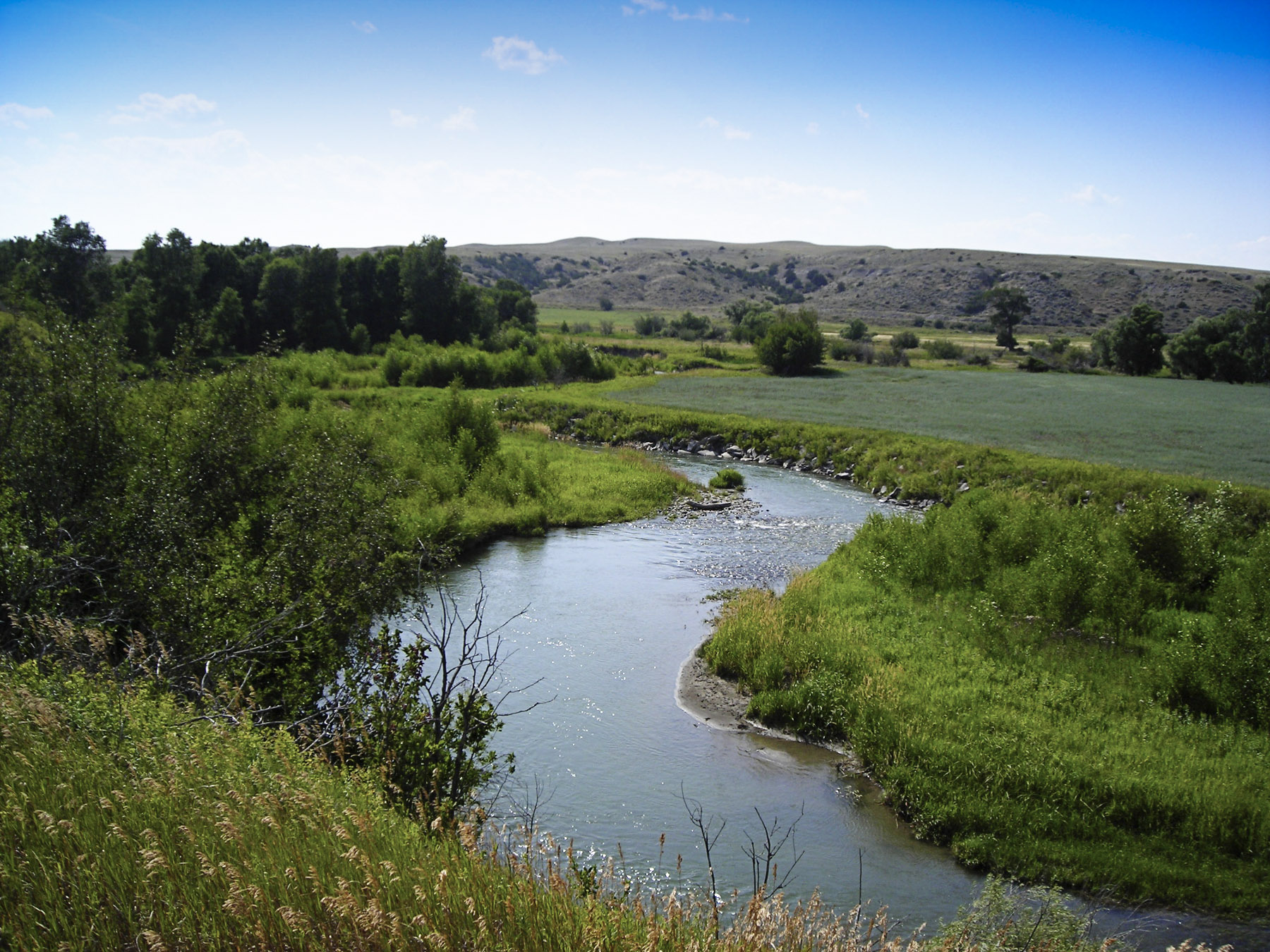 Sweet Grass Creek Ranch property picture 36 of 45