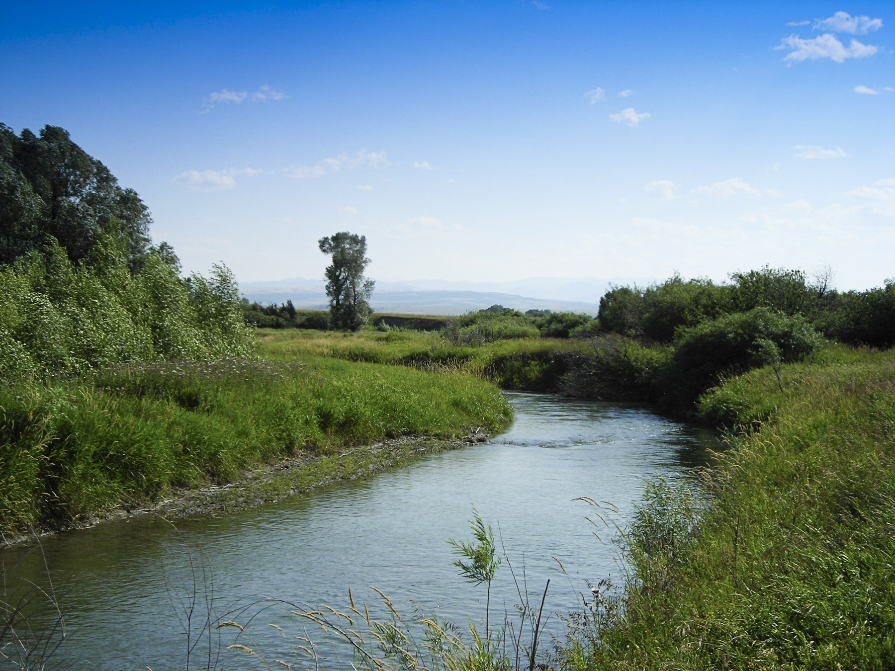 Sweet Grass Creek Ranch property picture 35 of 45