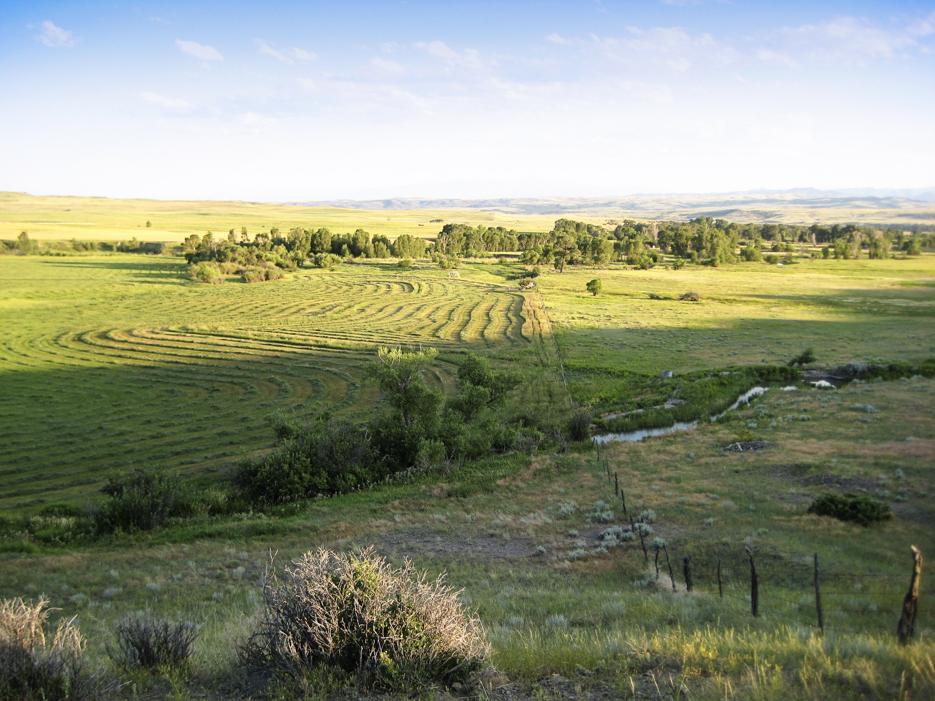 Sweet Grass Creek Ranch property picture 32 of 45