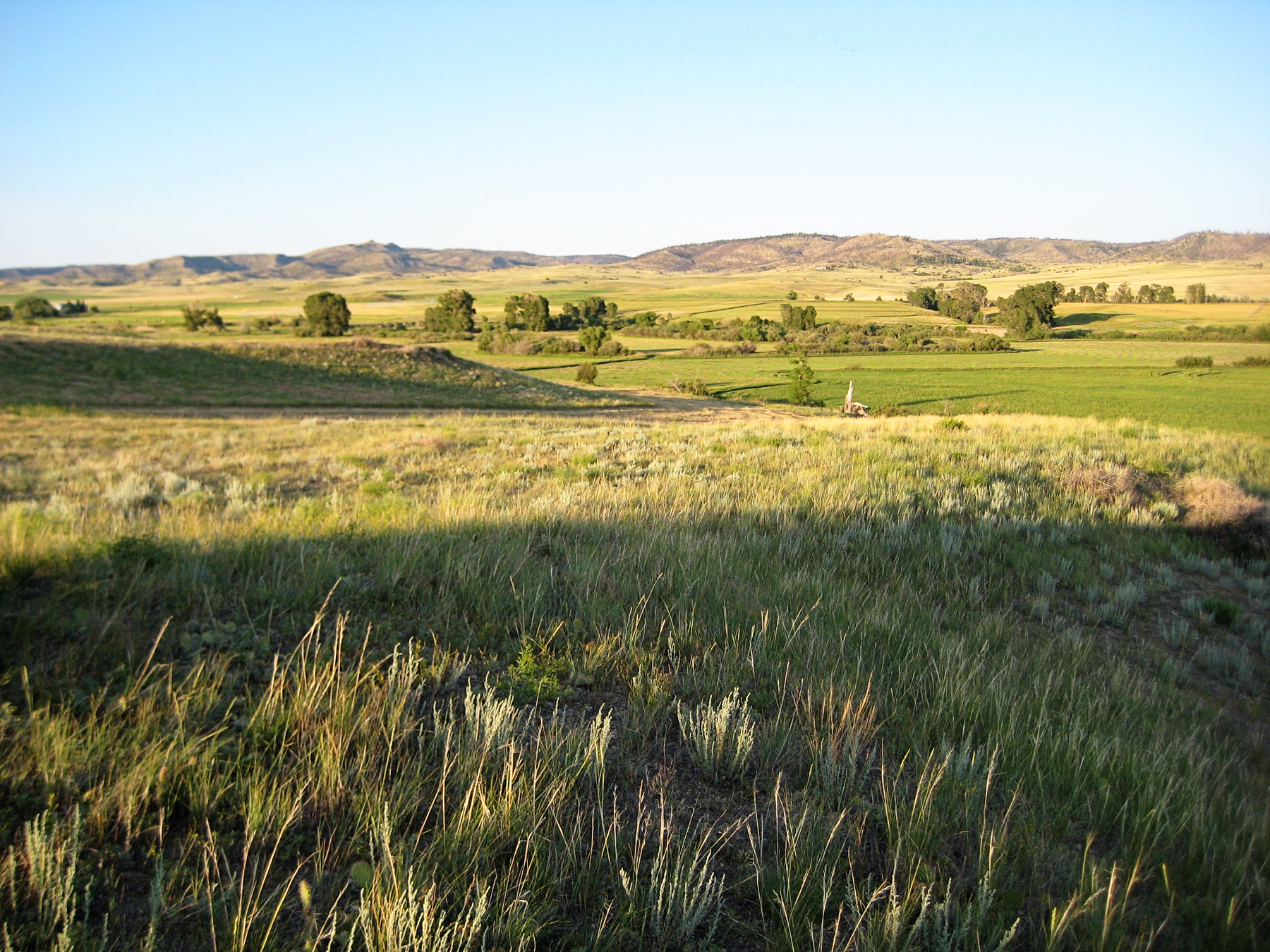 Sweet Grass Creek Ranch property picture 31 of 45