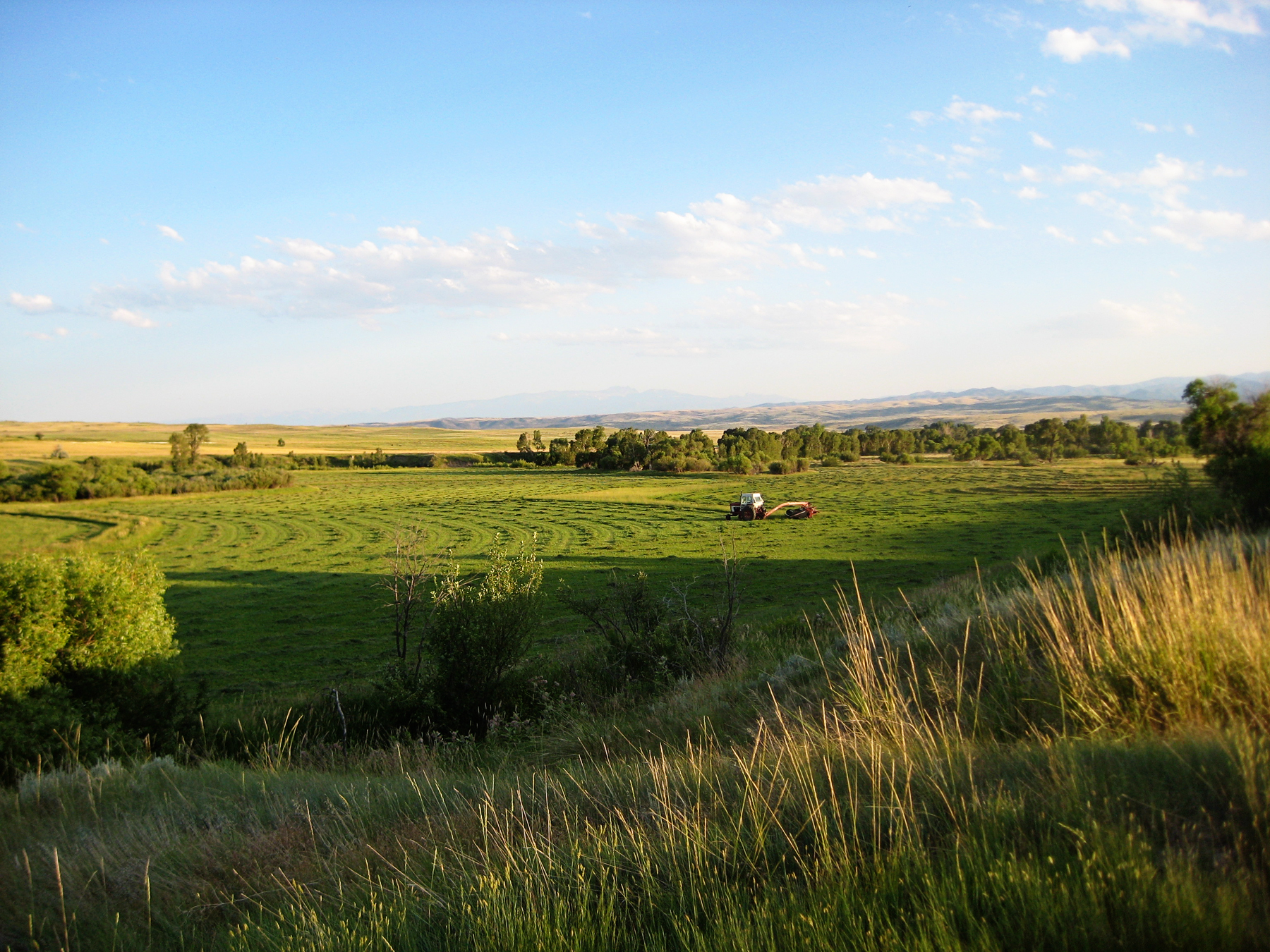 Sweet Grass Creek Ranch property picture 30 of 45