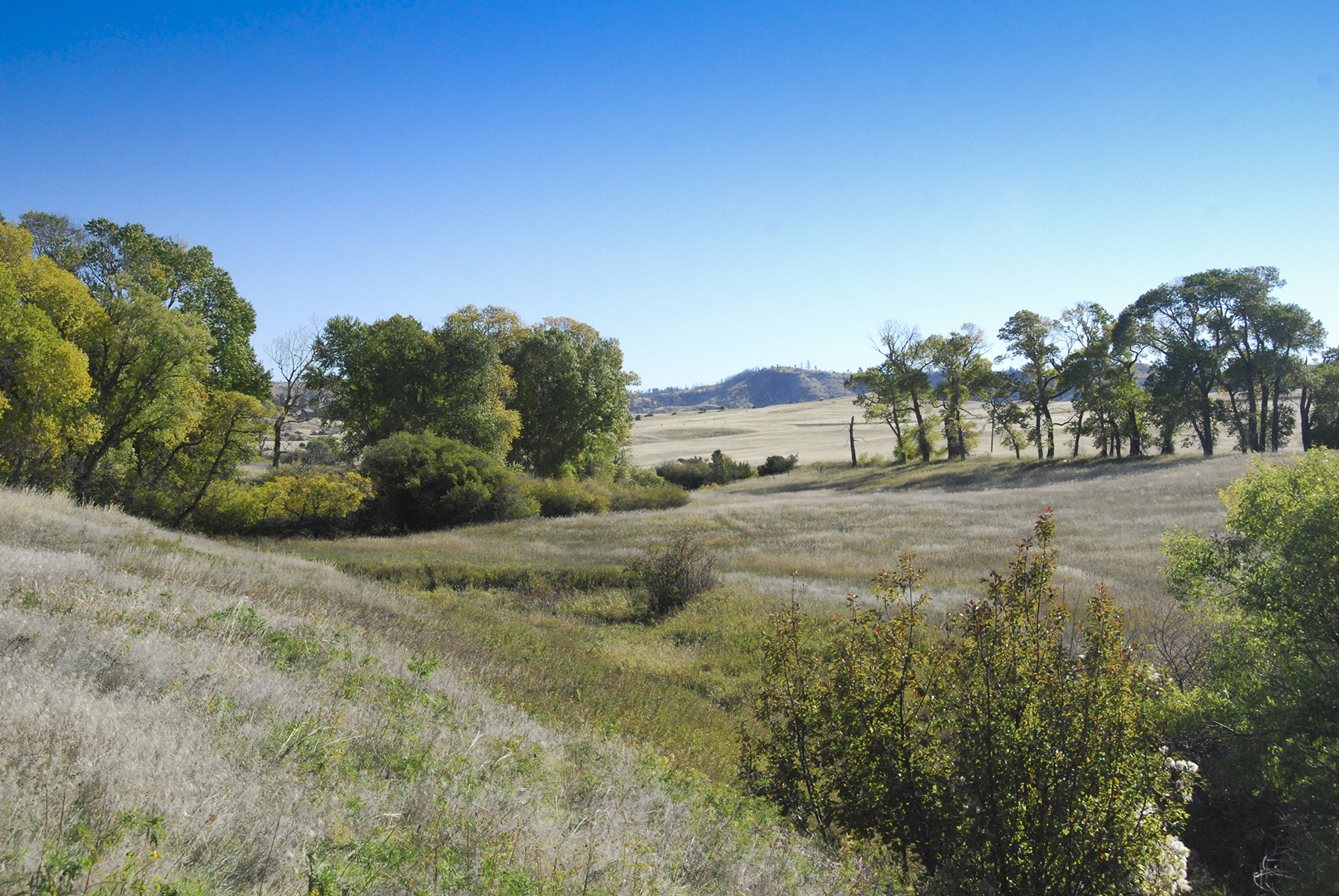 Sweet Grass Creek Ranch property picture 28 of 45